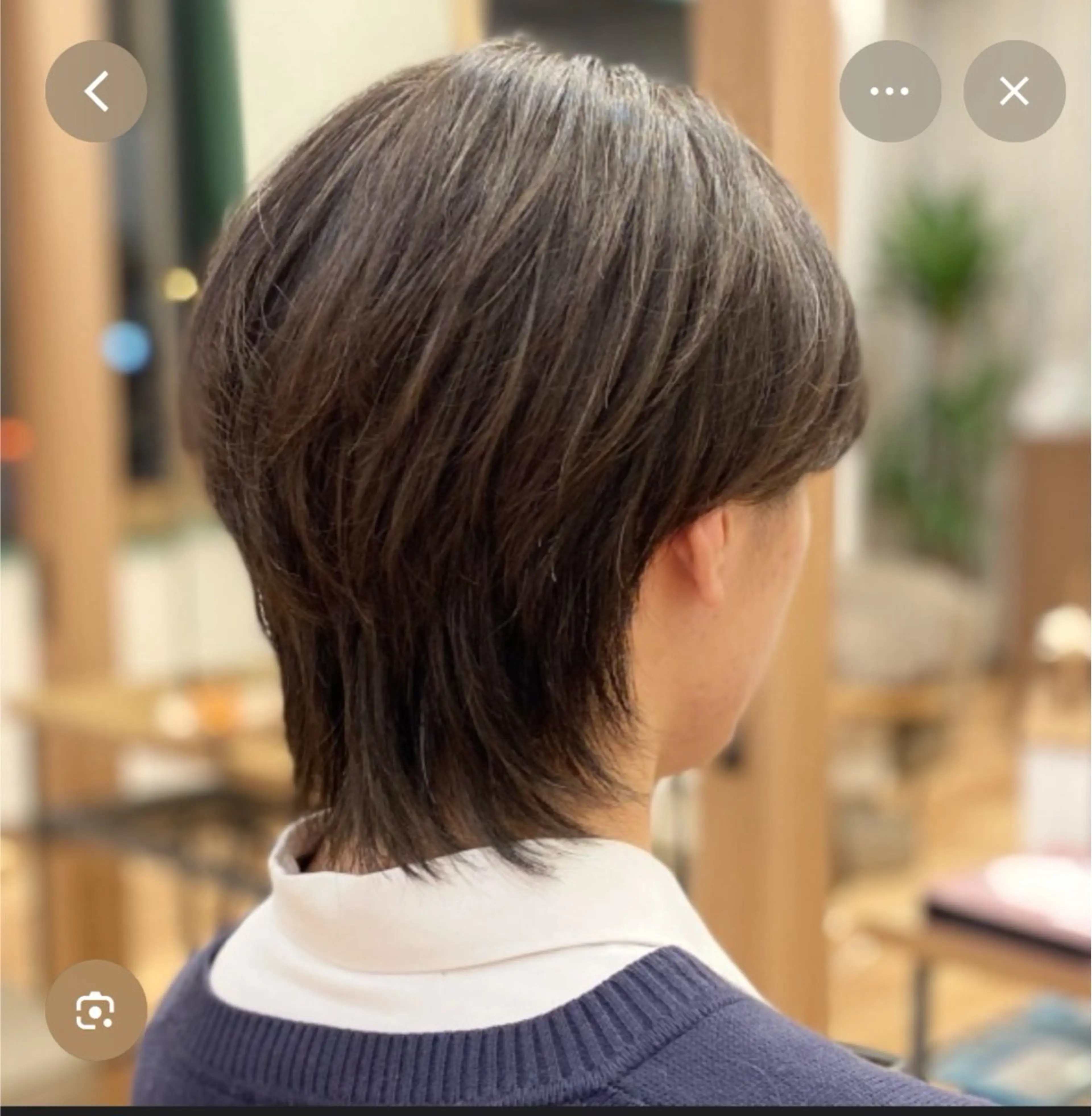 メンズウルフの写真