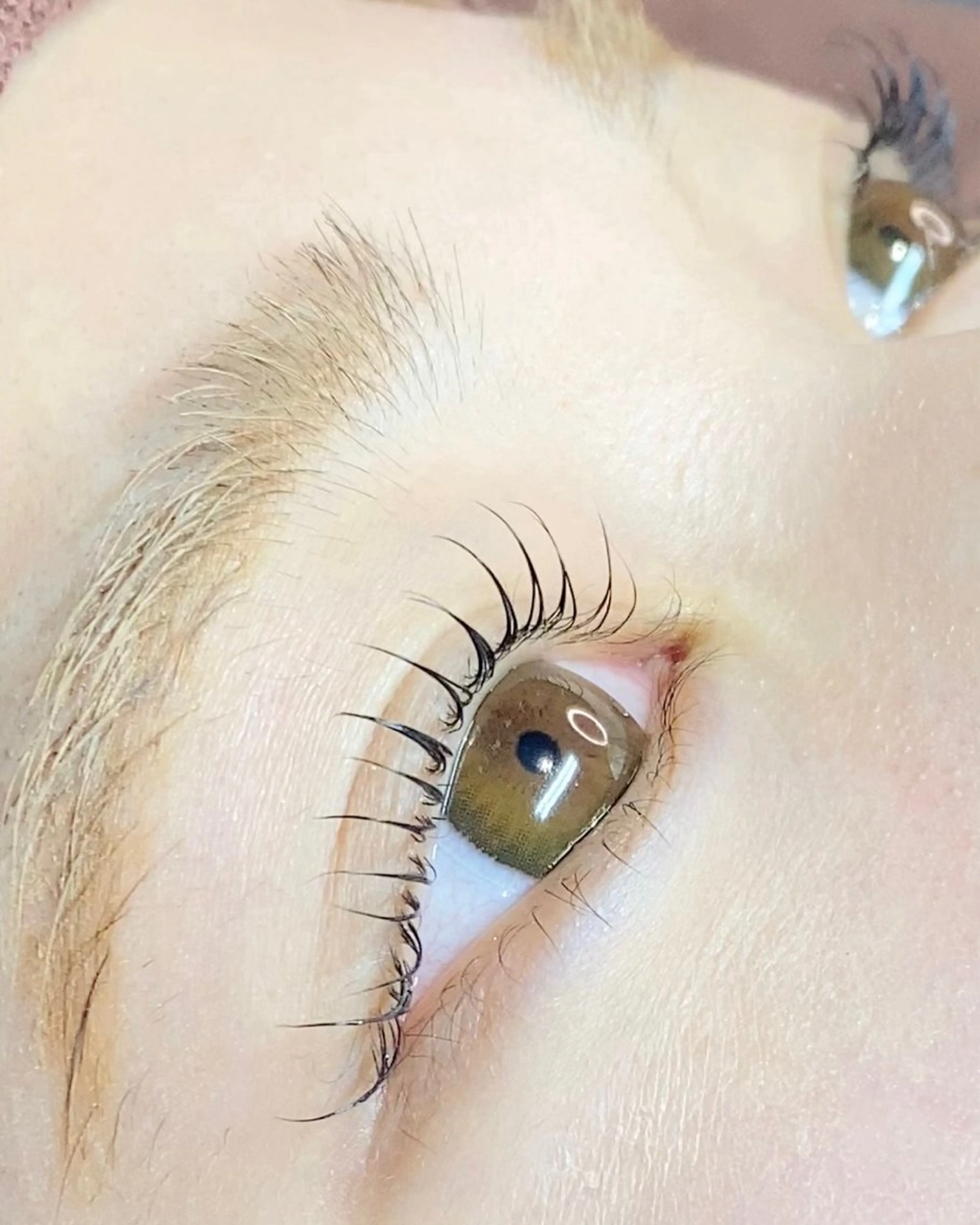 【リクエスト予約】似合わせウルラッシュリフト🍒の写真