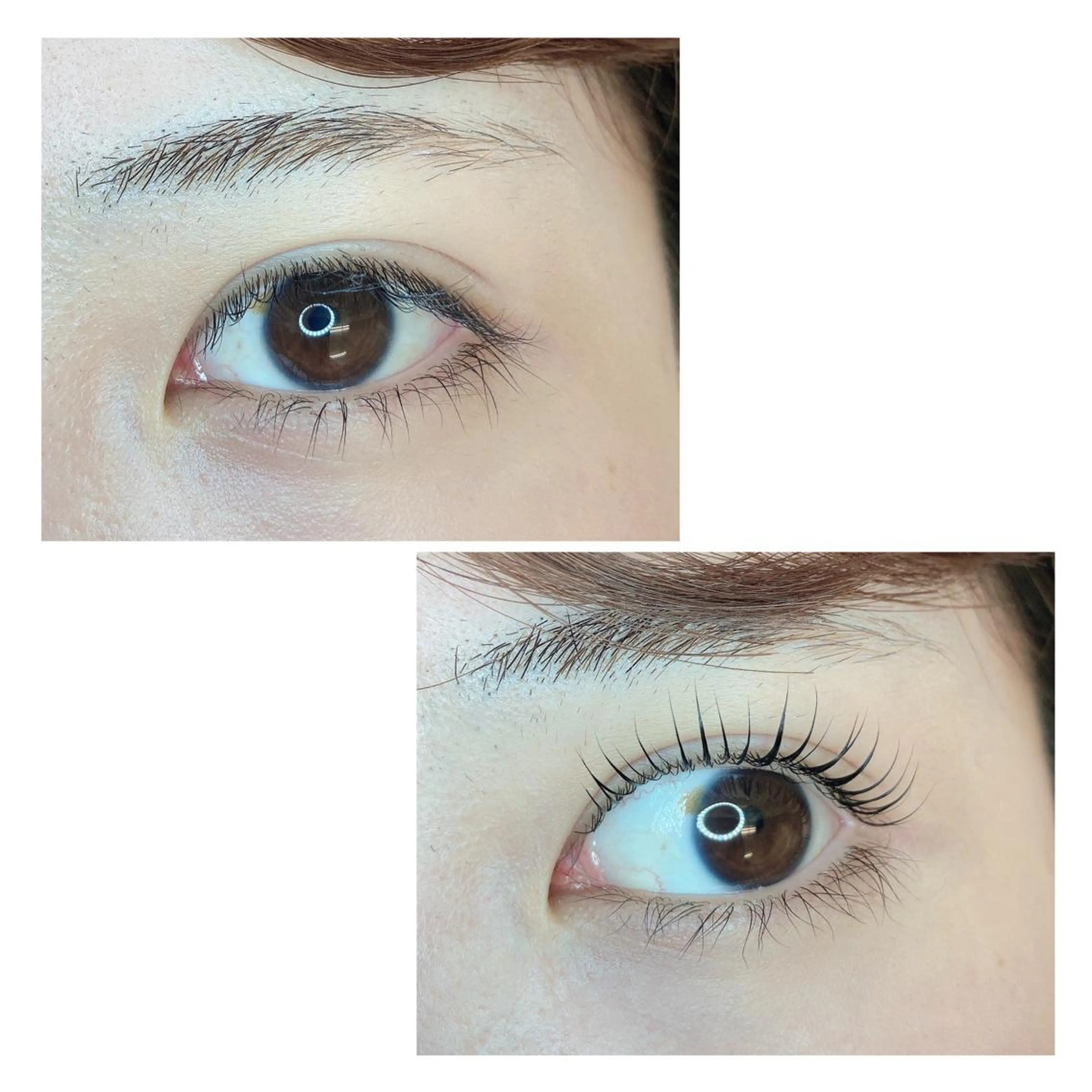 マツエク・マツパ TIARA池袋西口店 店長YASUKA💐のマツエク・マツパデザイン