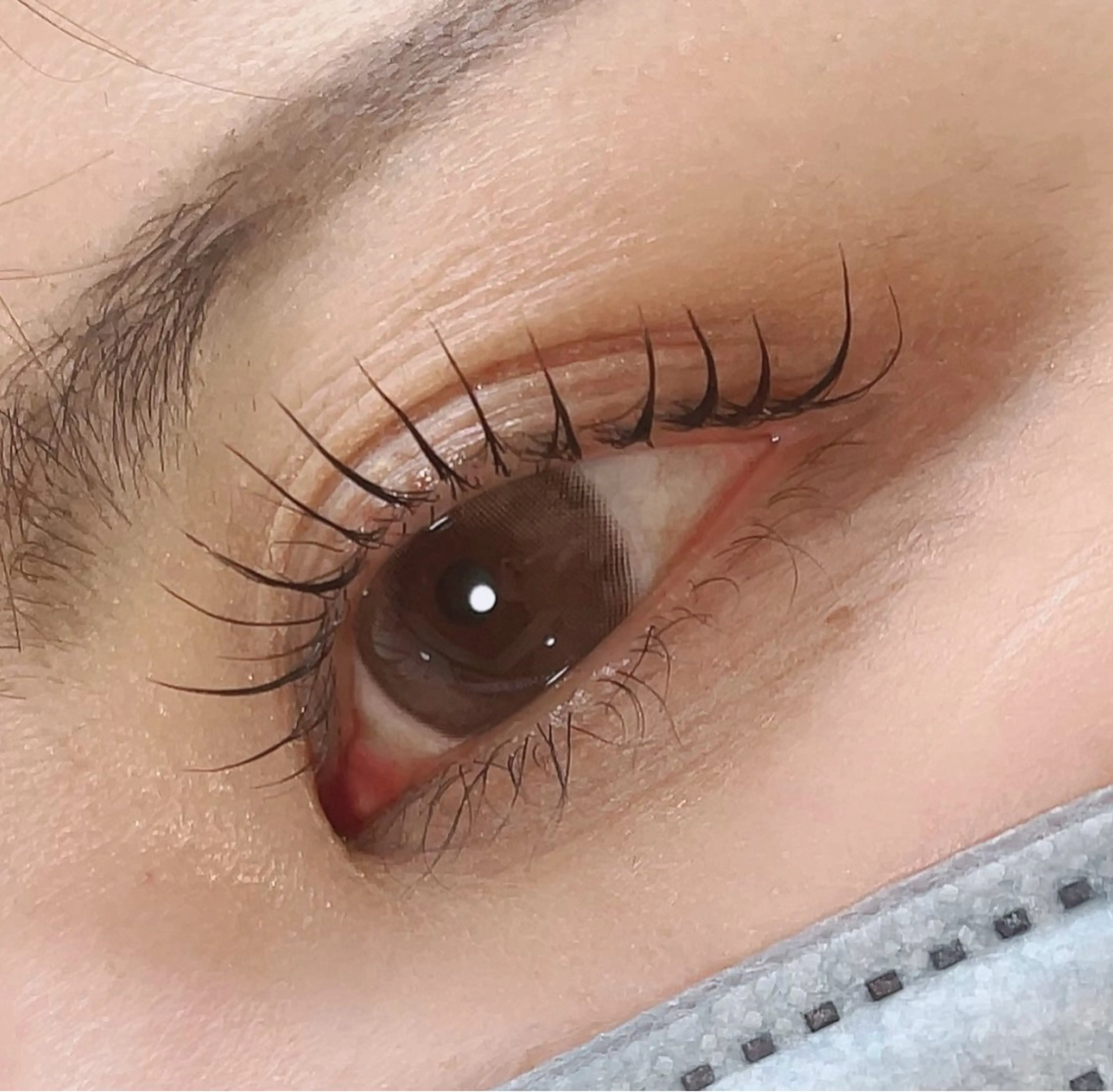 上まつ毛パーマ ＋ 2種類のトリートメント 𓊆ㅤアイシャンプー、コーティング付き❤︎.*𓊇の写真