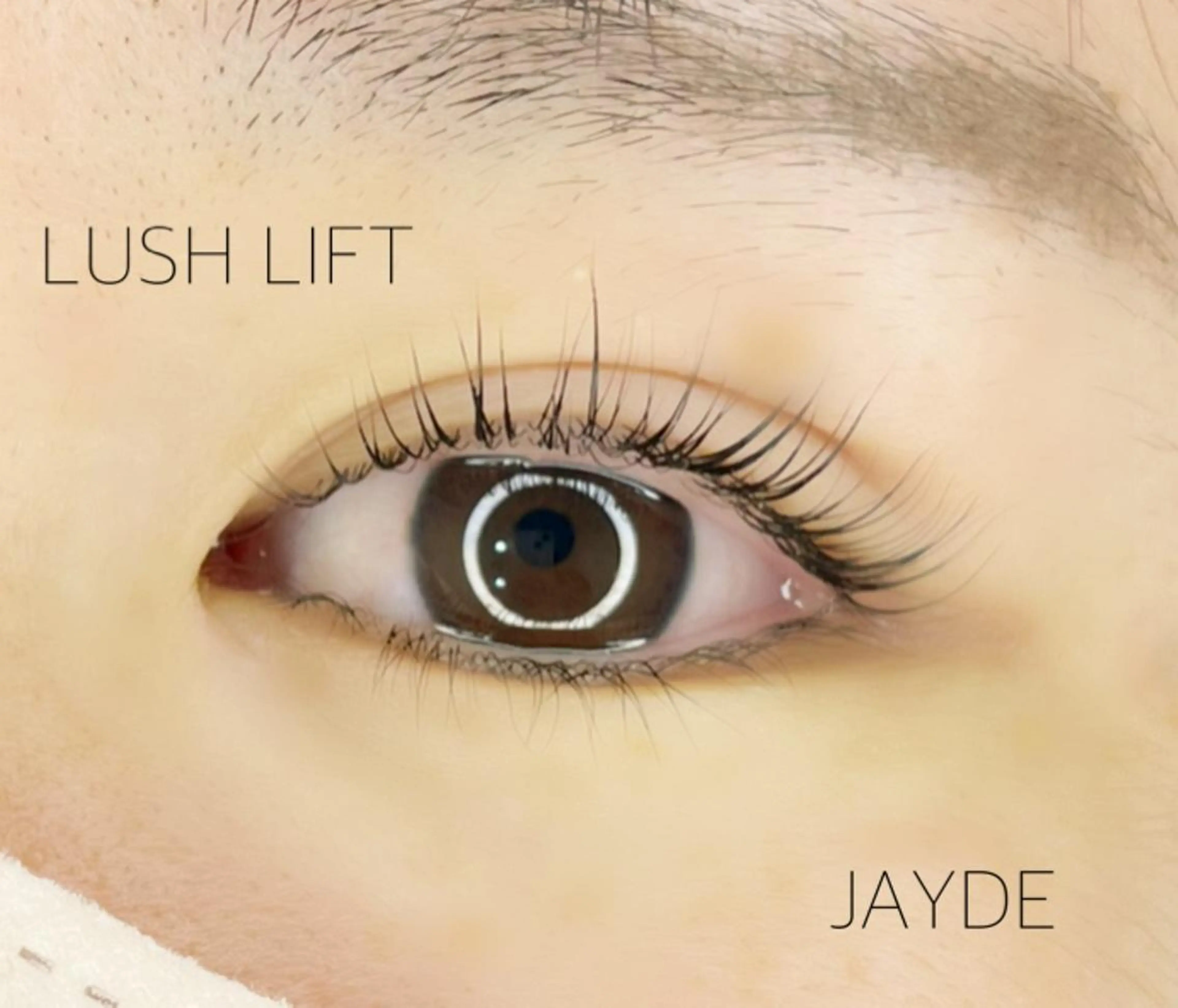 マツエク・マツパ JAYDE ジェイドのマツエク・マツパデザイン