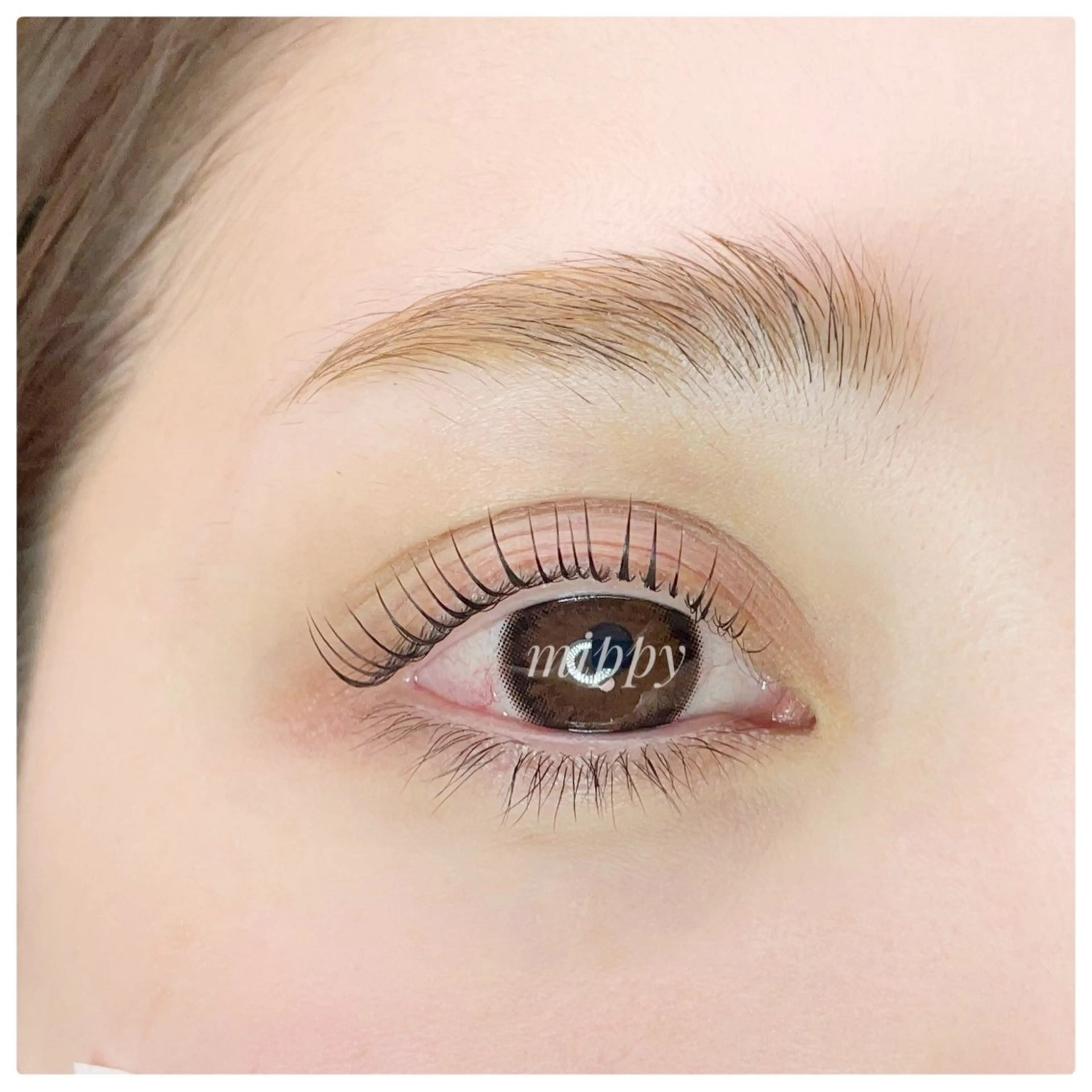 マツエク・マツパ ｍｉｐｐｙ 🪽のマツエク・マツパデザイン