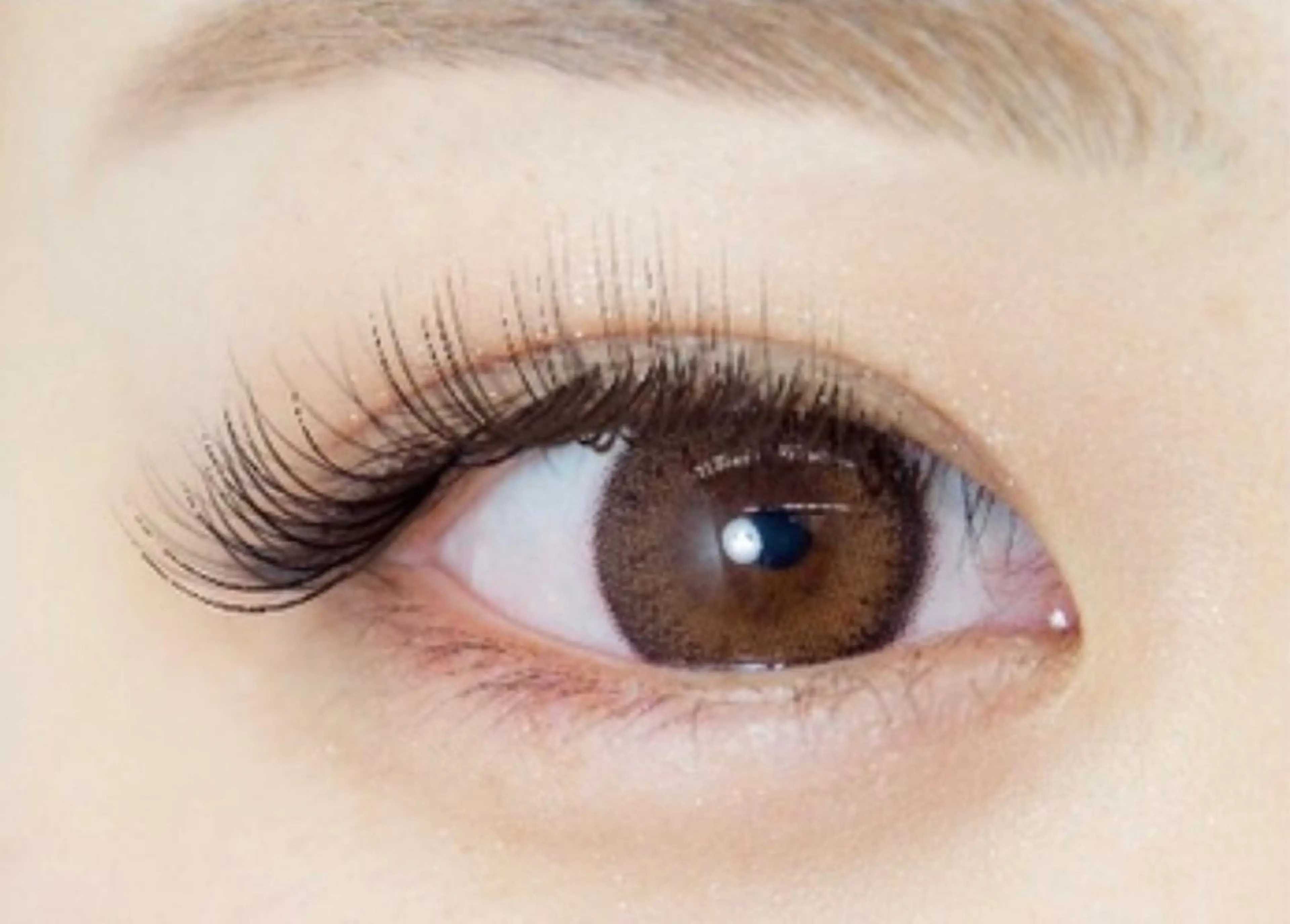 💛セーブルラッシュ140本まで💛の写真