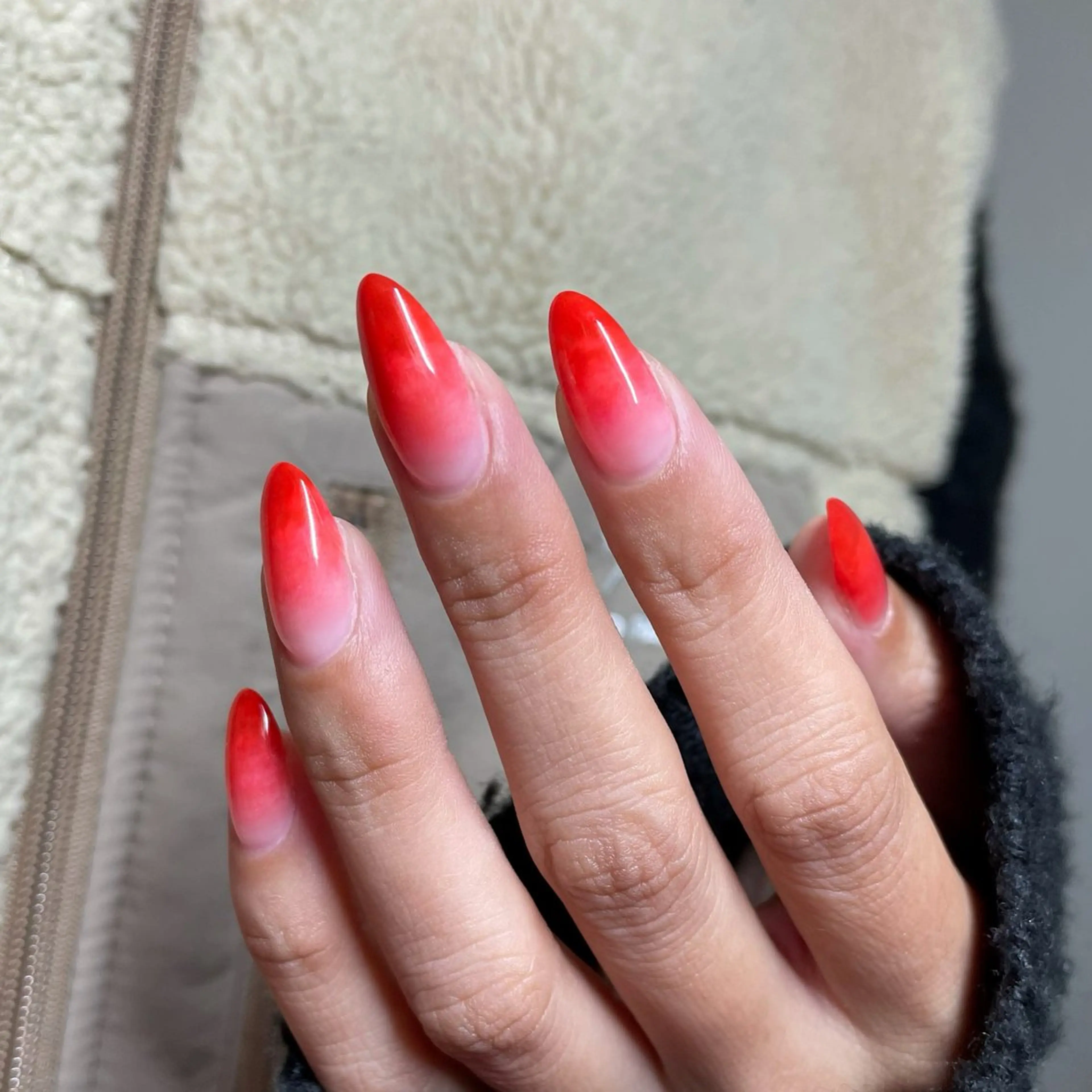 グラデーションの写真