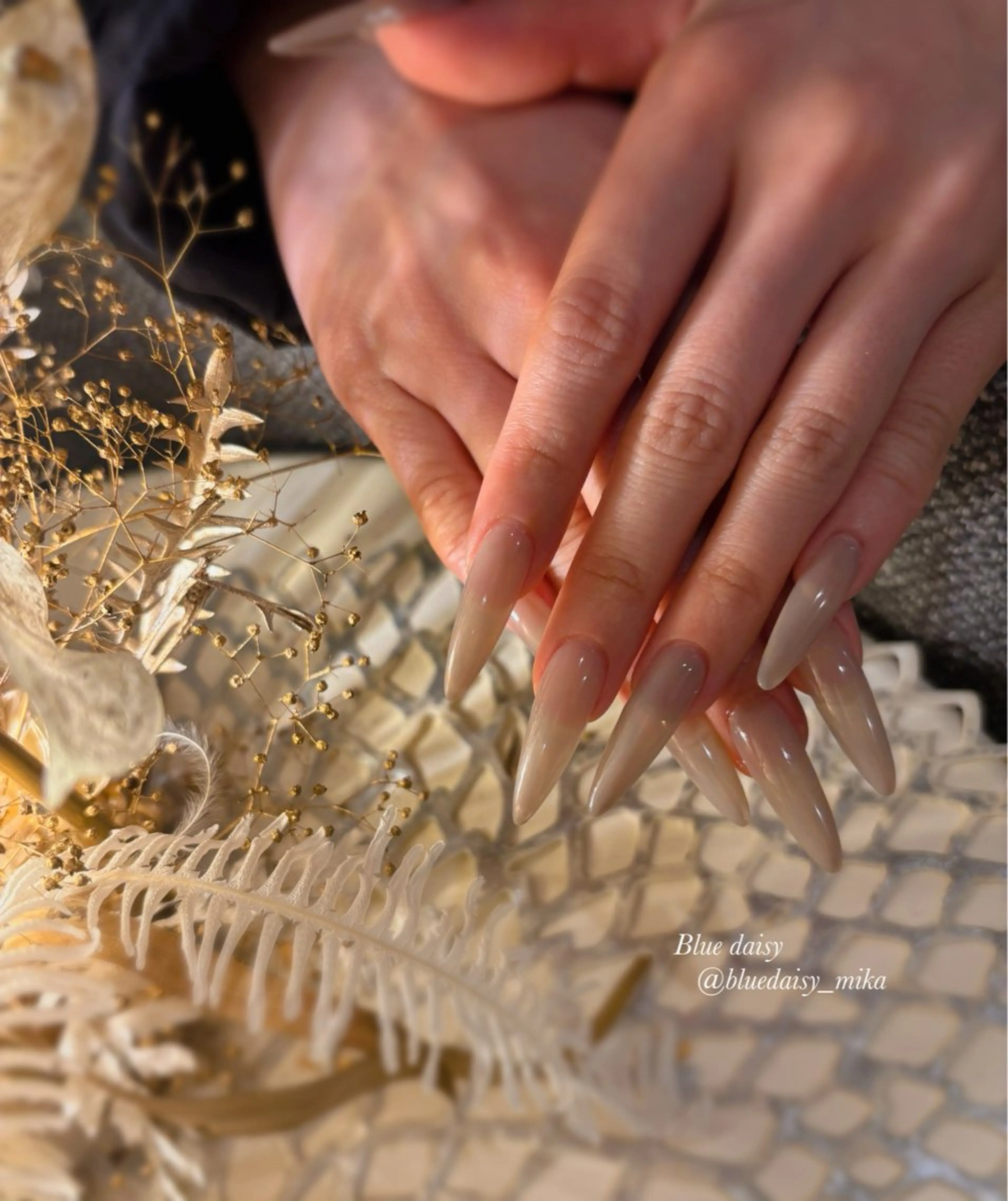 ネイル クリアネイル 長さ出し ネイルチップ Blue　daisy　栄本店 【ブルーデイジー】所属・Blue daisy 栄本店のネイルデザイン