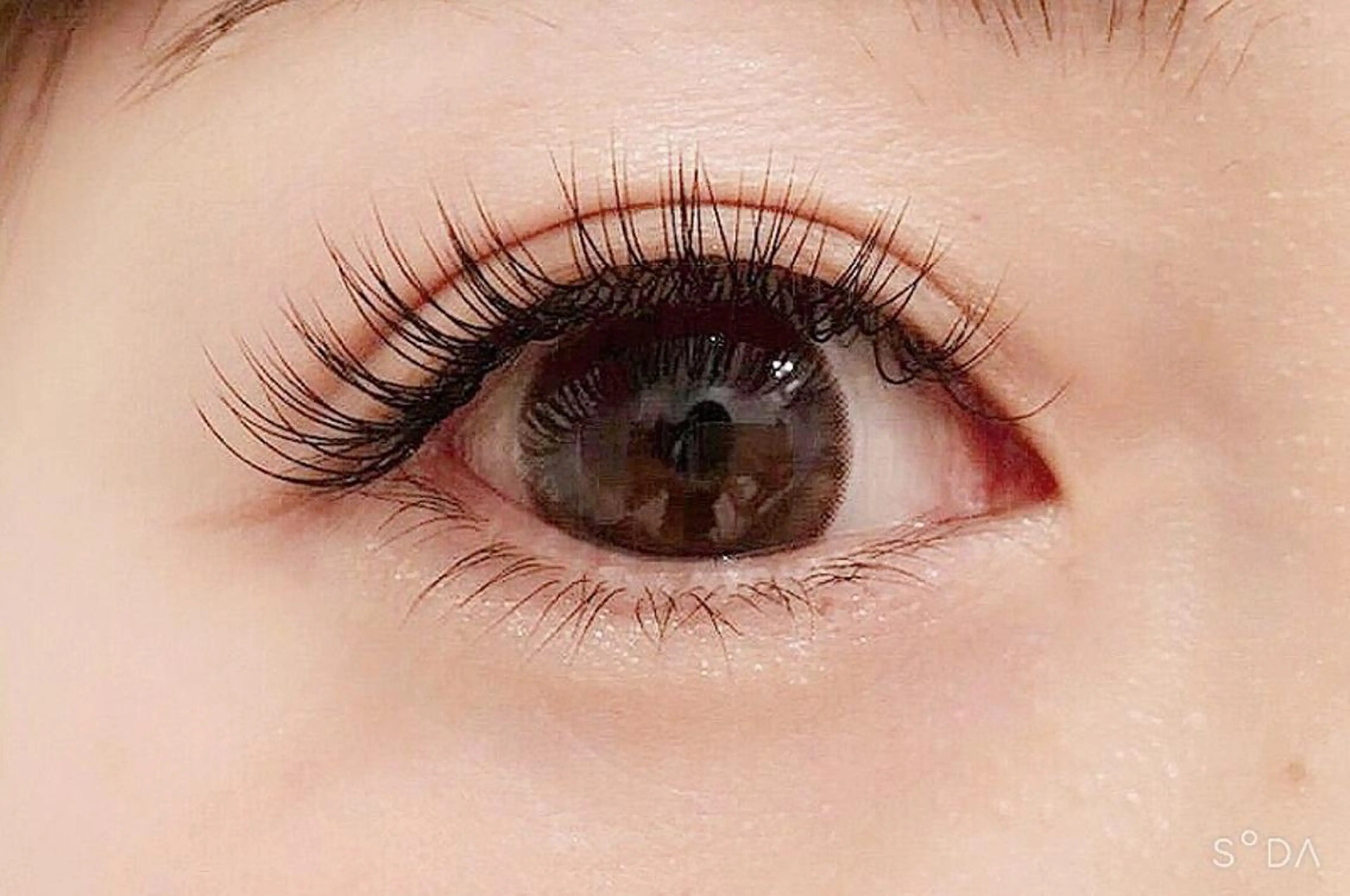 マツエク・マツパ フラットラッシュ Loy la long所属・Loylalong ロイラロンの眉毛・アイブロウイメージ