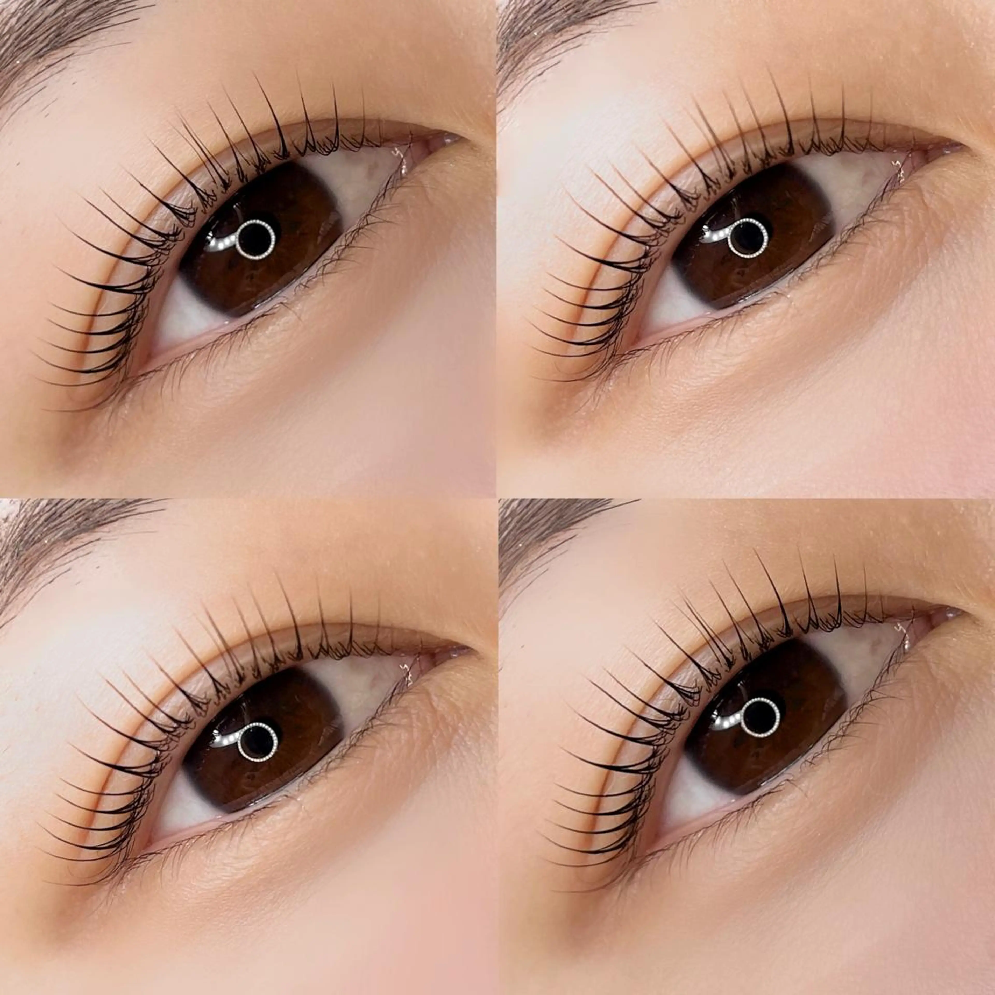 コーティング付❤︎まつ毛パーマの写真