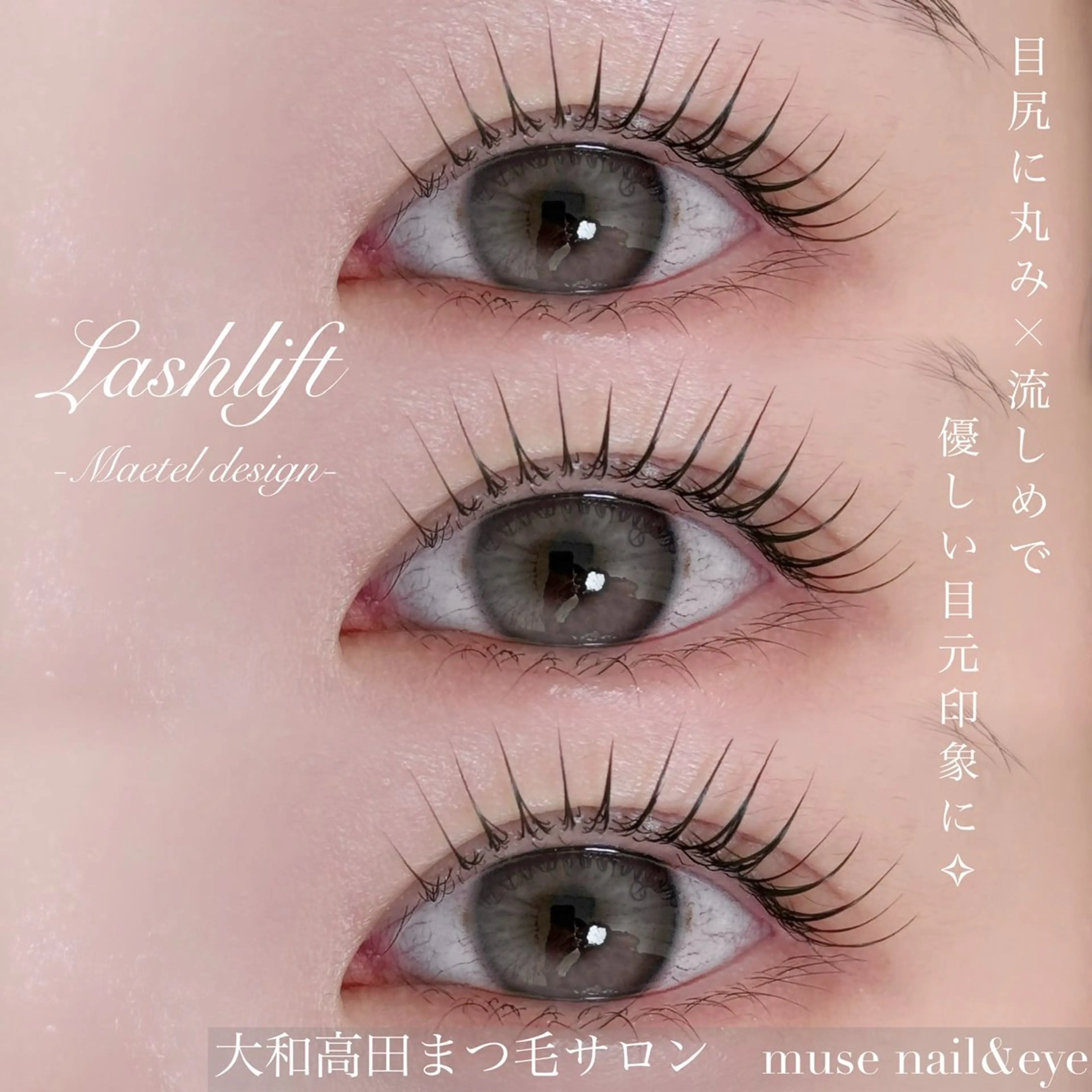 【12月限定‼︎特別価格🌟】　7200円→6000円💘ラッシュリフト（パリジェンヌラッシュリフト含む）の写真