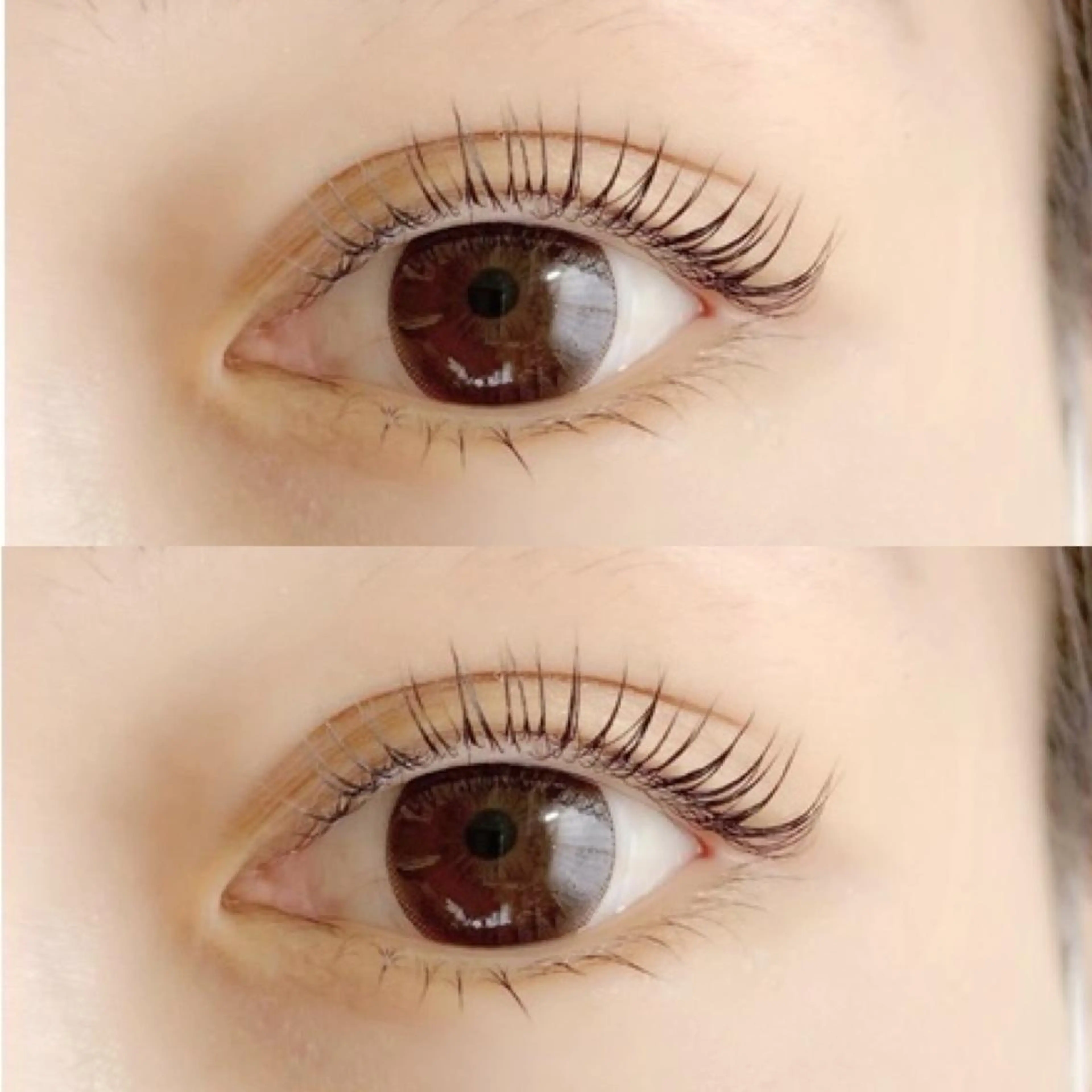 まつ毛パーマ💎上げ方2種類ご用意してます⭐︎の写真