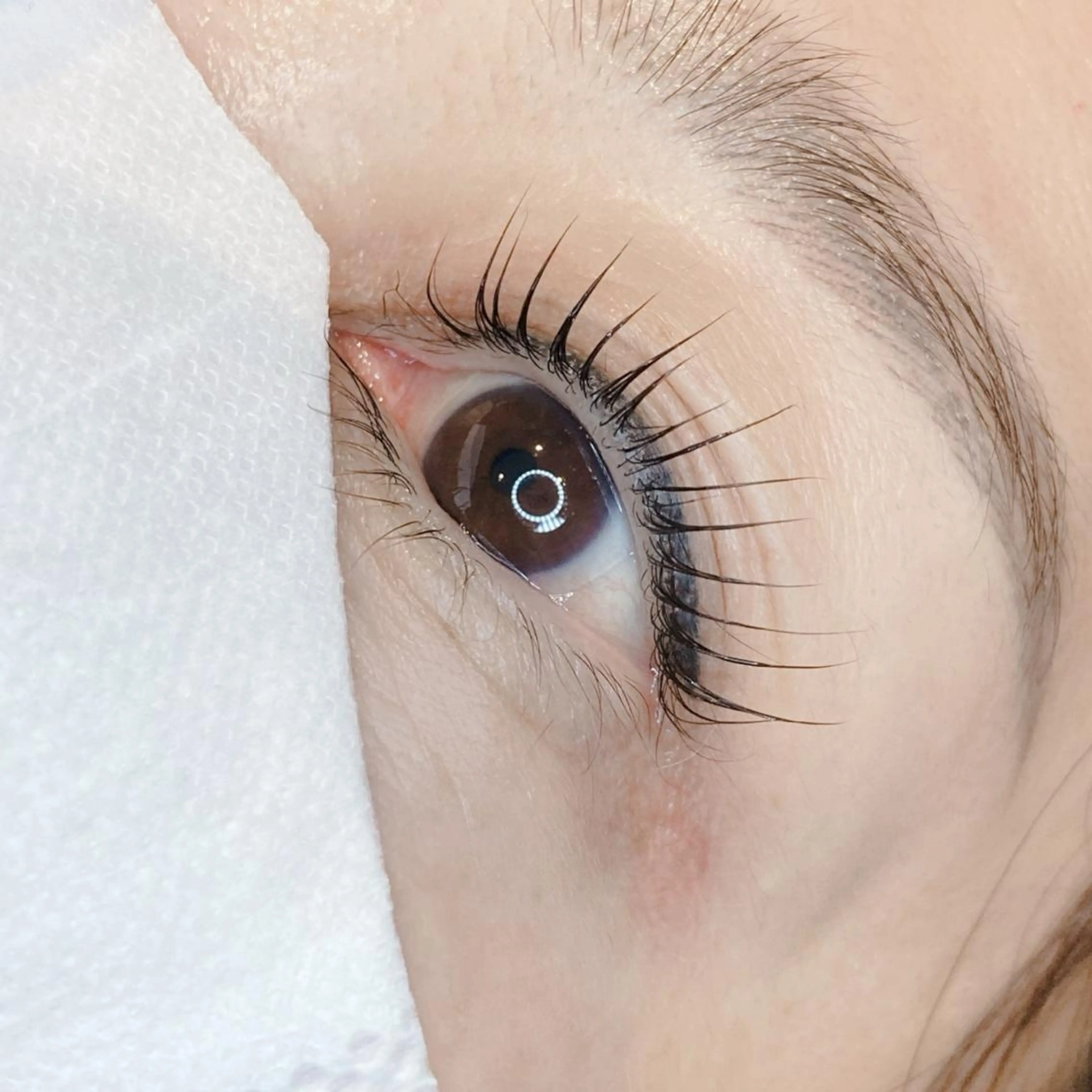 マツエク・マツパ マツパ tozone eye AYANOのマツエク・マツパデザイン