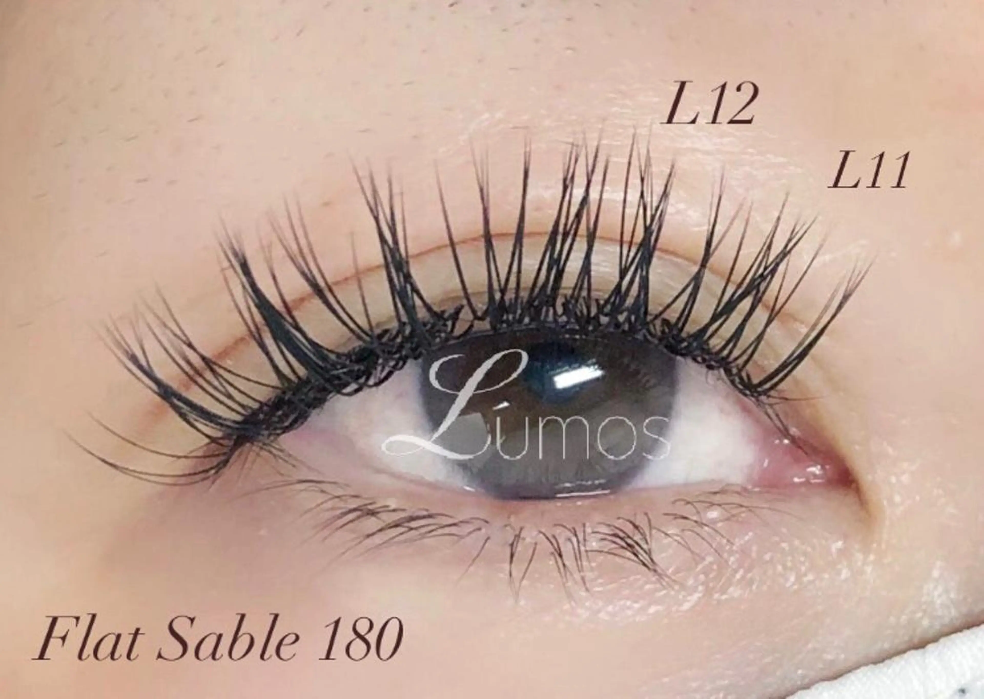 マツエク・マツパ Lカール セーブル Lumos nail&eyelash所属・Lumos Ayakaのマツエク・マツパデザイン