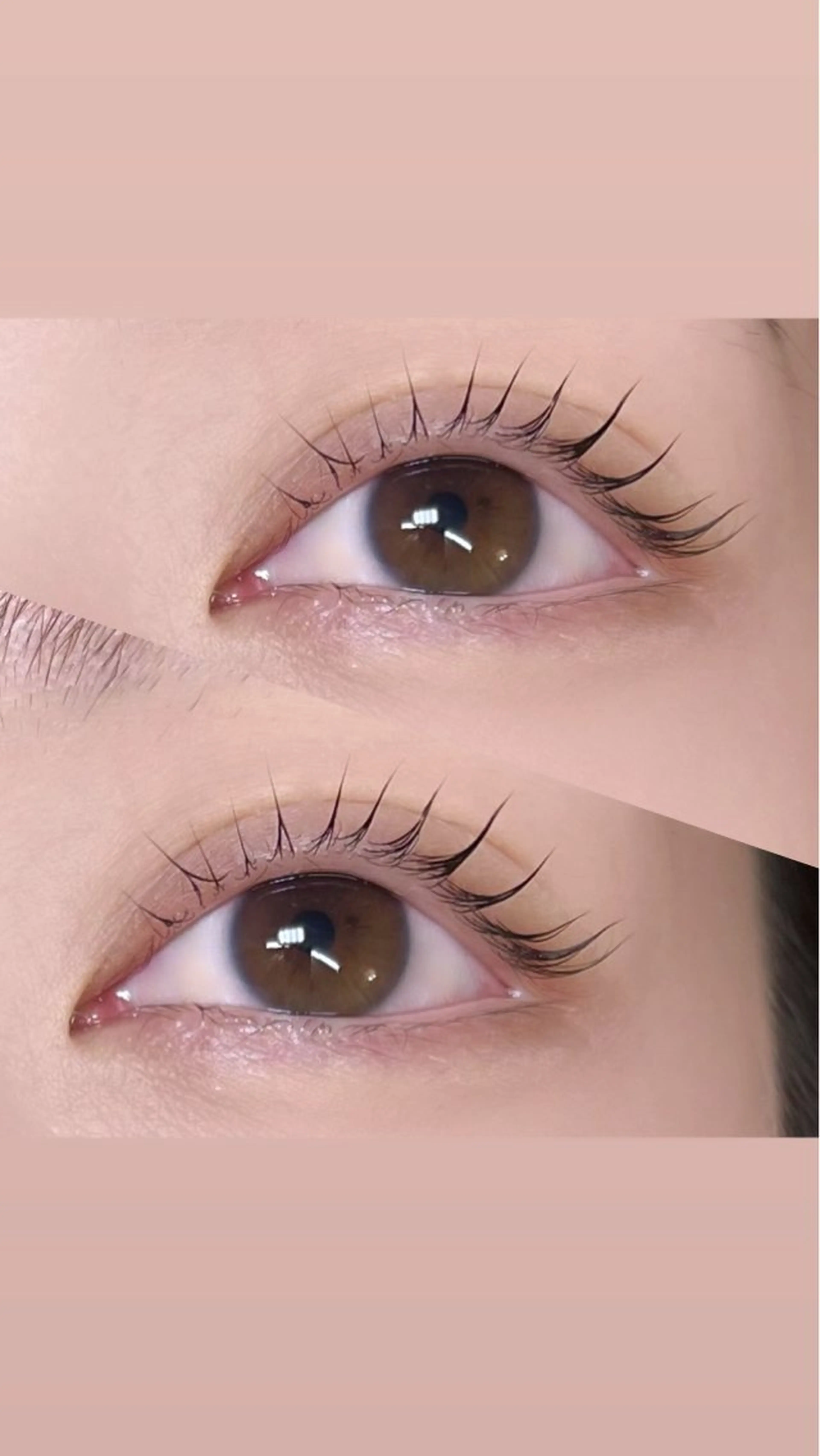 マツエク・マツパ sayu📍自由ヶ丘 🎀まつパ/美眉🌵のマツエク・マツパデザイン