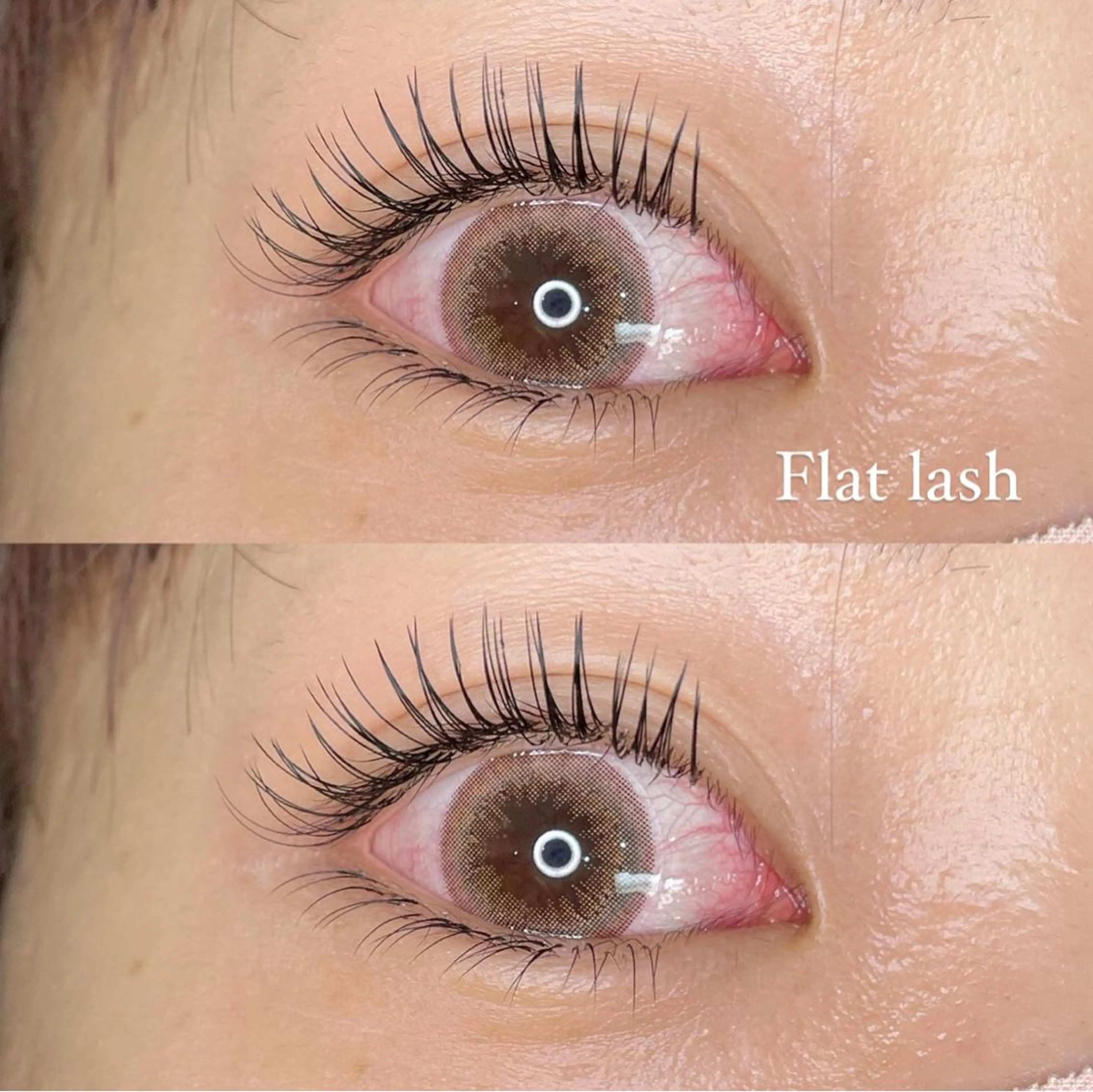 マツエク・マツパ Cカール フラットラッシュ Jカール セーブル マツエク パリジェンヌ/美眉 OLIVIA加藤のマツエク・マツパデザイン