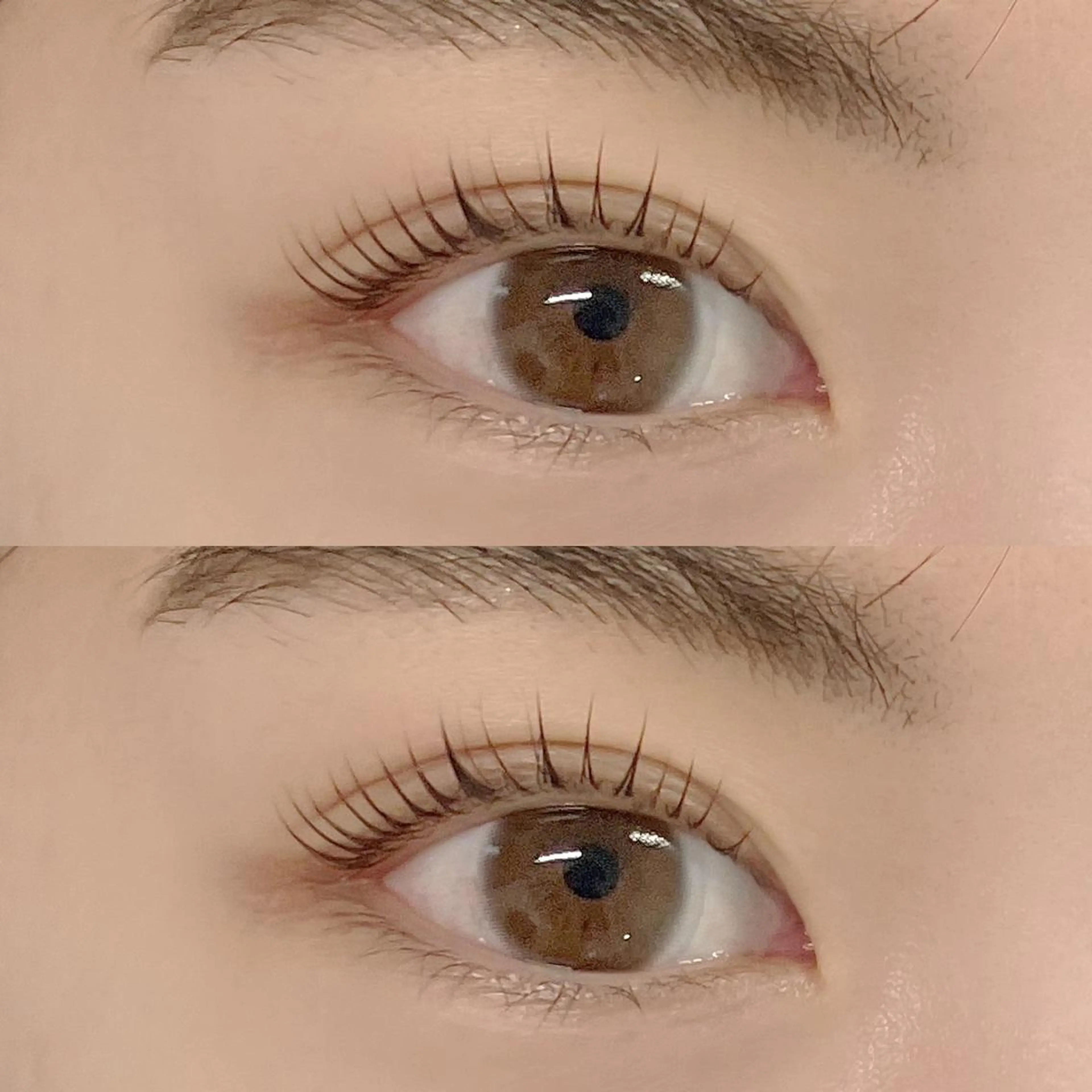 マツエク・マツパ まつげパーマ フジ ワラのマツエク・マツパデザイン