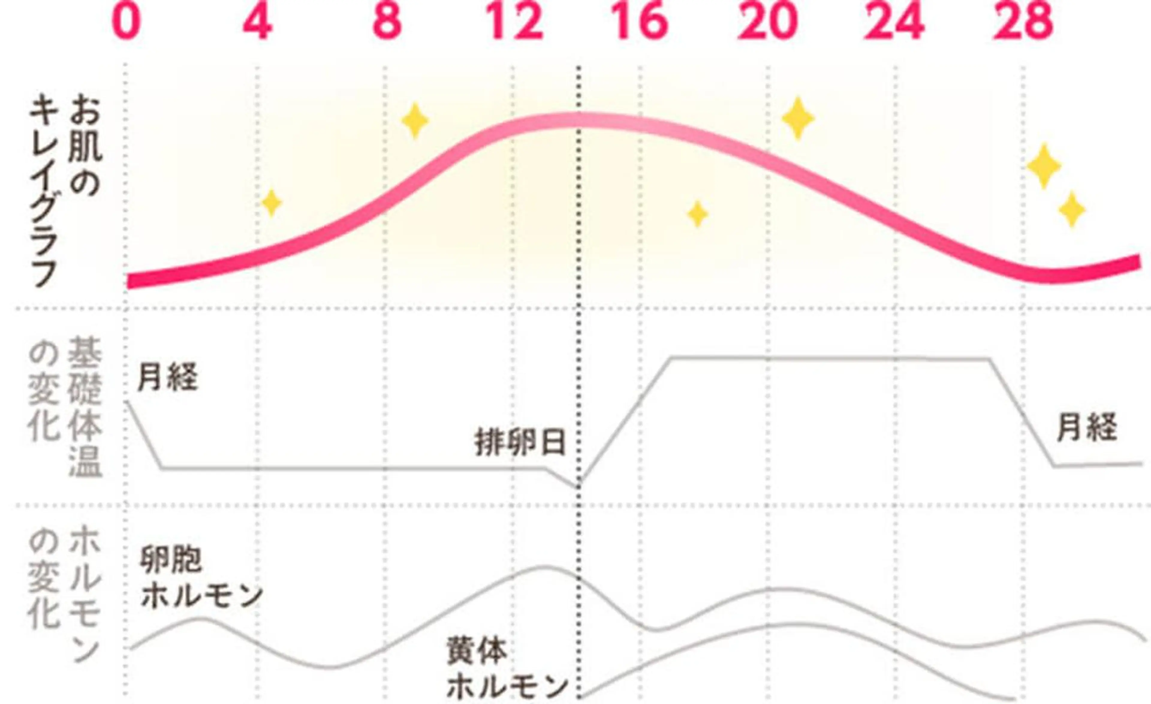 デアイム川口前川所属・エイジング肌質改善 サロンプレジールのエステ・リラクイメージ