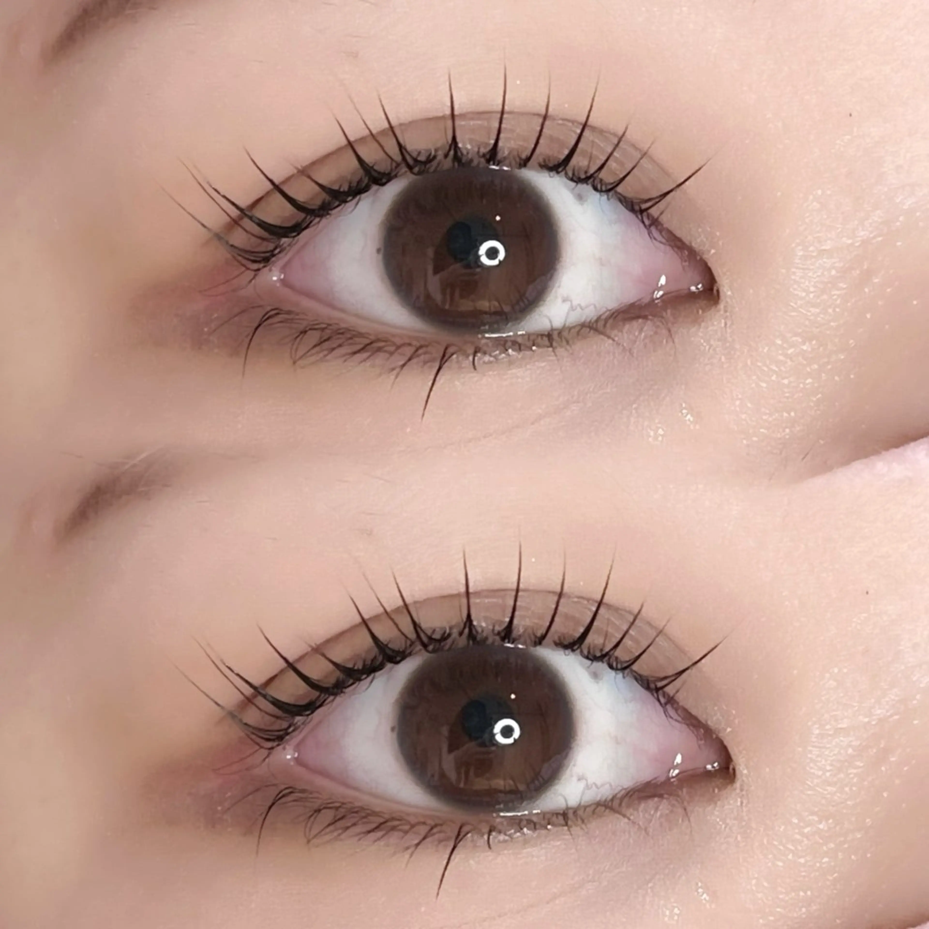 マツエク・マツパ パリジェンヌラッシュリフト Suzuka🩰ྀི BELMEのその他イメージ