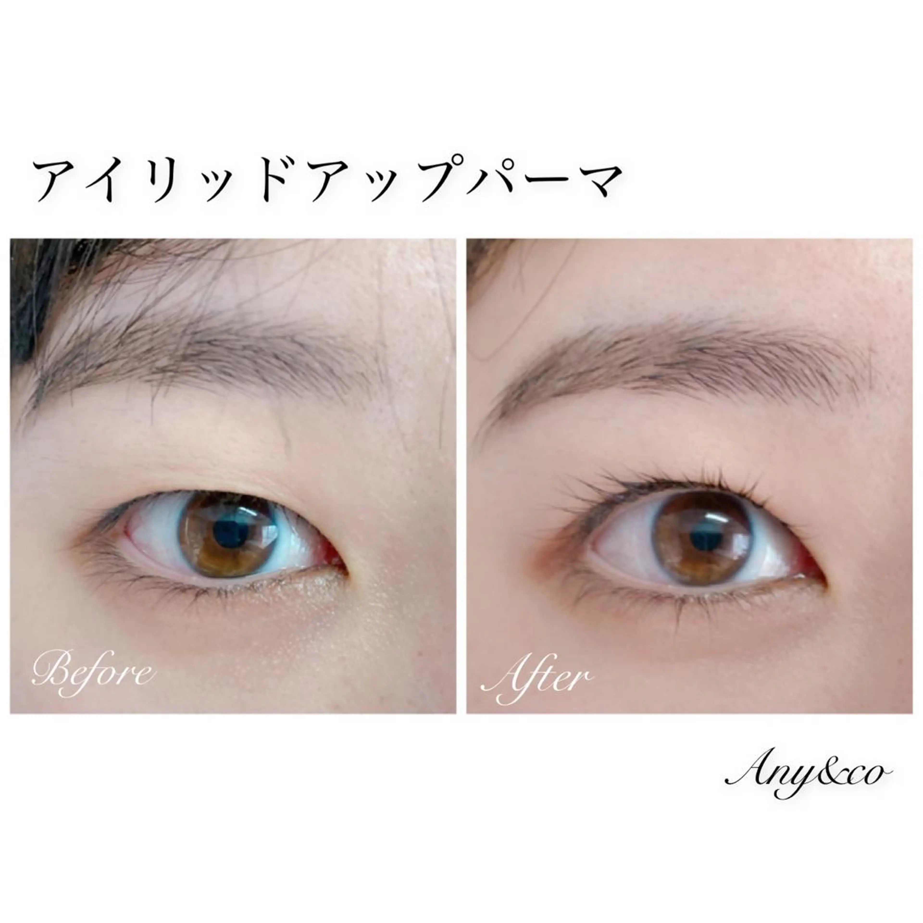 マツエク・マツパ アイリッドアップパーマ Any&co 【エニコ】のマツエク・マツパデザイン