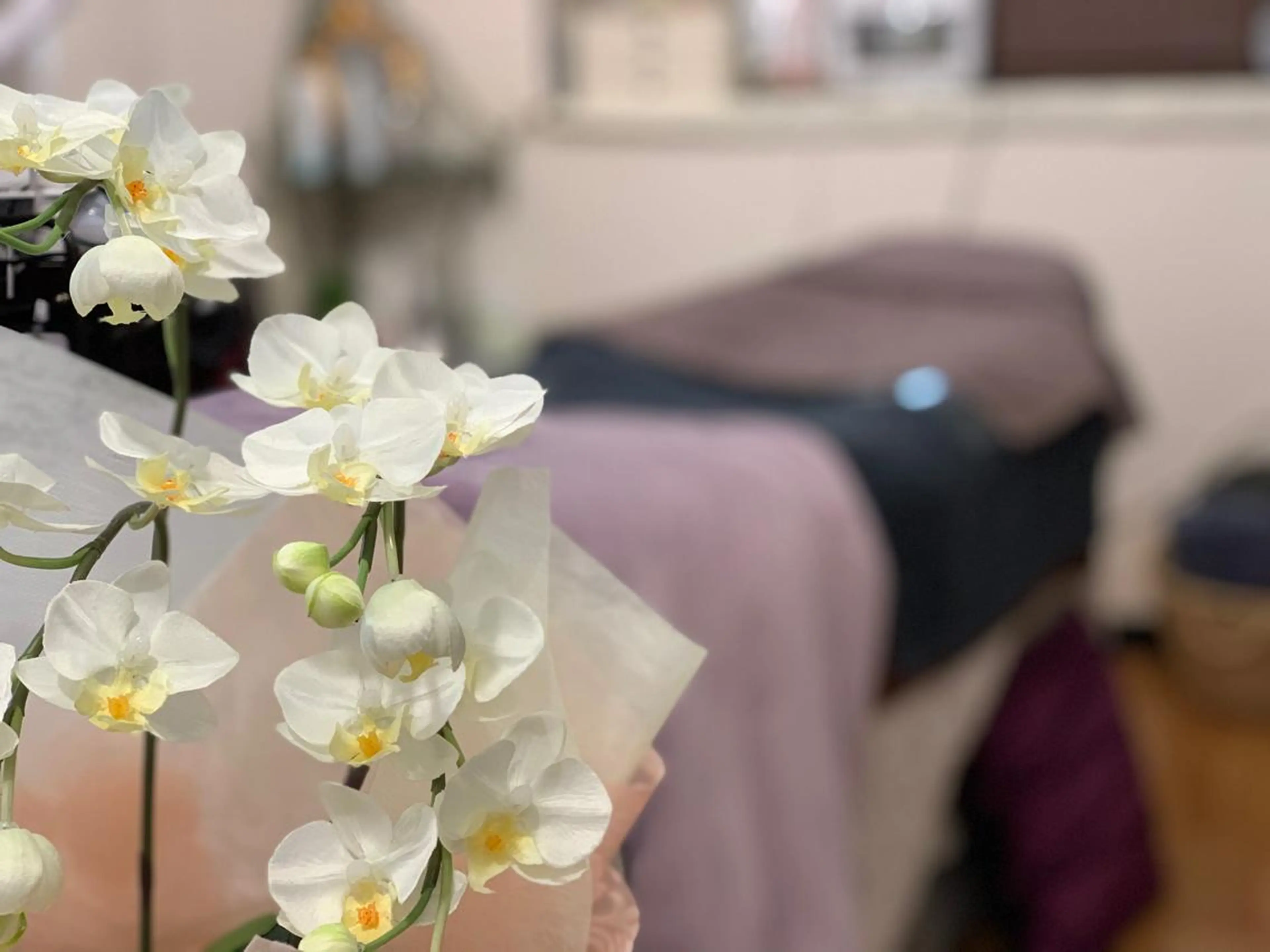 潤い艶肌・身体ケア ／貸切りサロンソワンのエステ・リラクイメージ