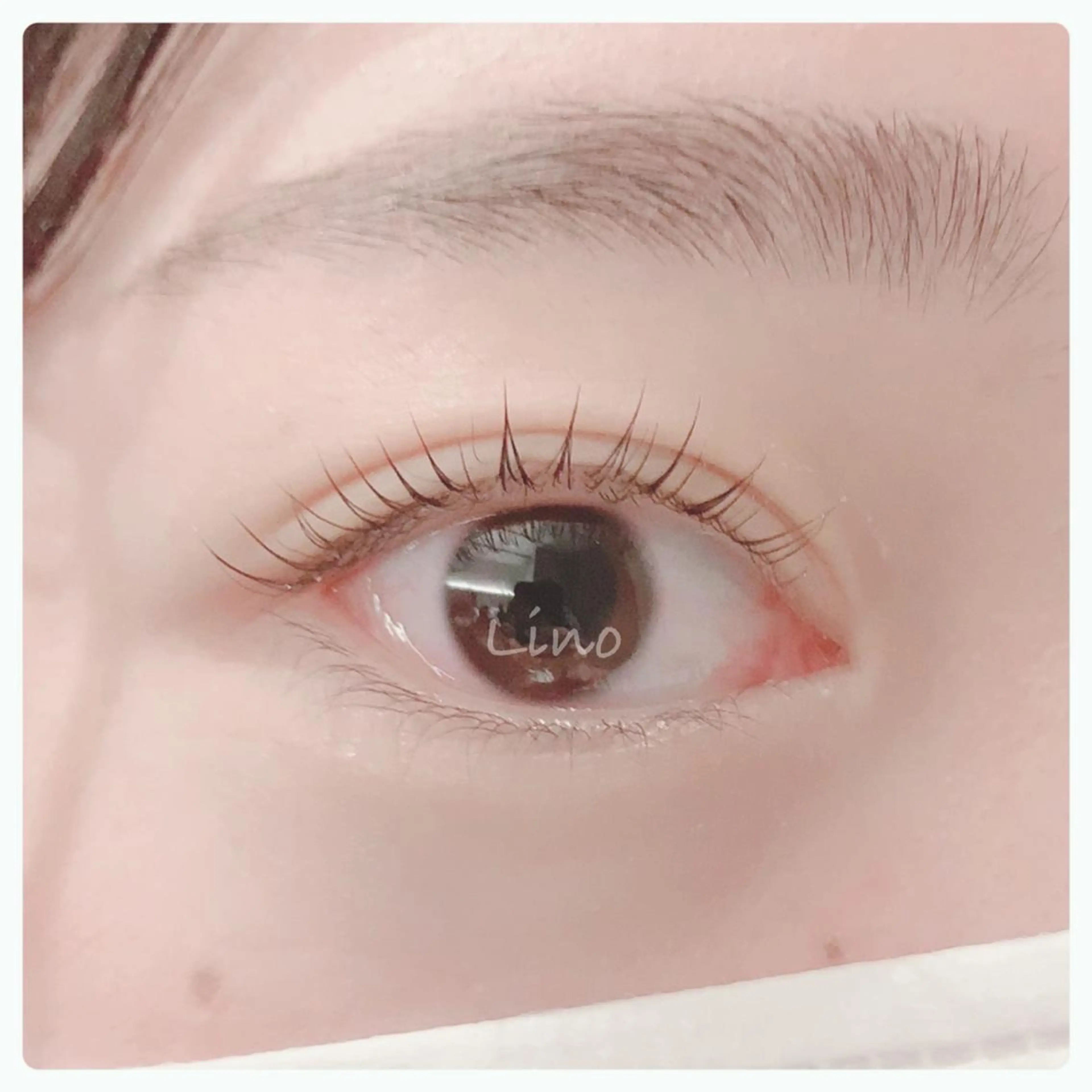 マツエク・マツパ Lino by Lucia所属・Lino by Luciaのマツエク・マツパデザイン