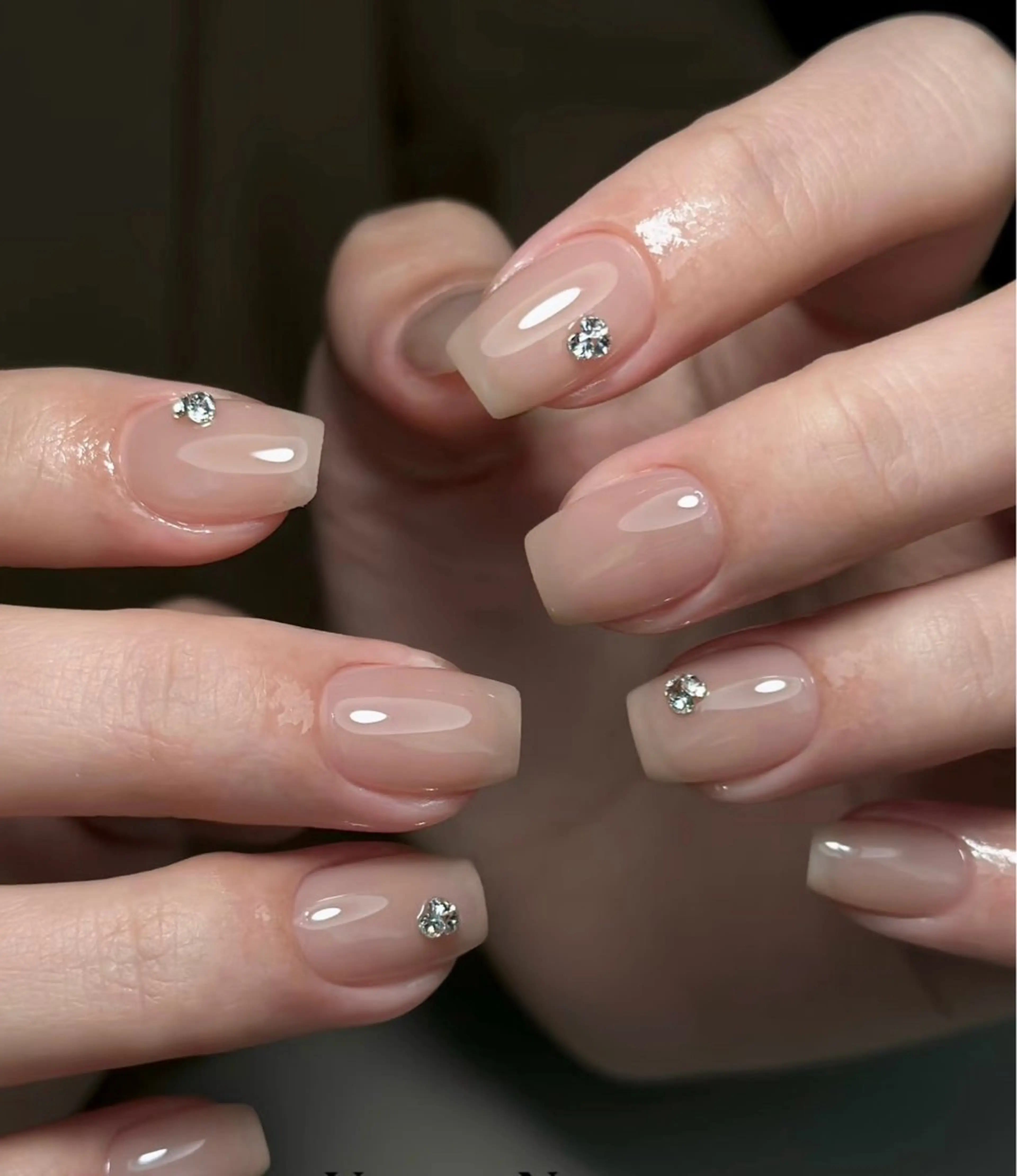 ネイル ハン シカのネイルデザイン