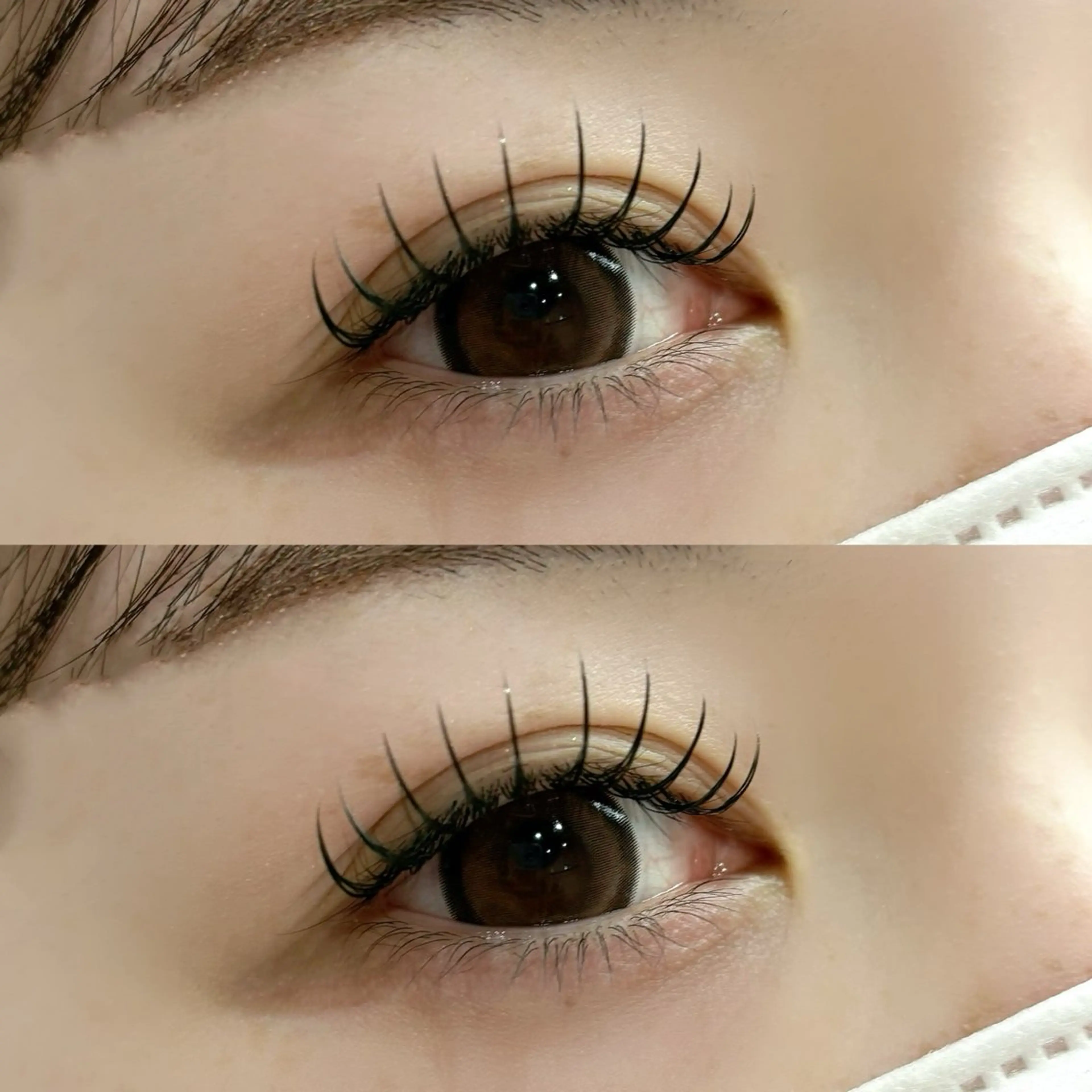 マツエク・マツパ 束感まつ毛 フラットラッシュ mary nail&eyelash 西大寺所属・mary eye KITAURAのマツエク・マツパデザイン