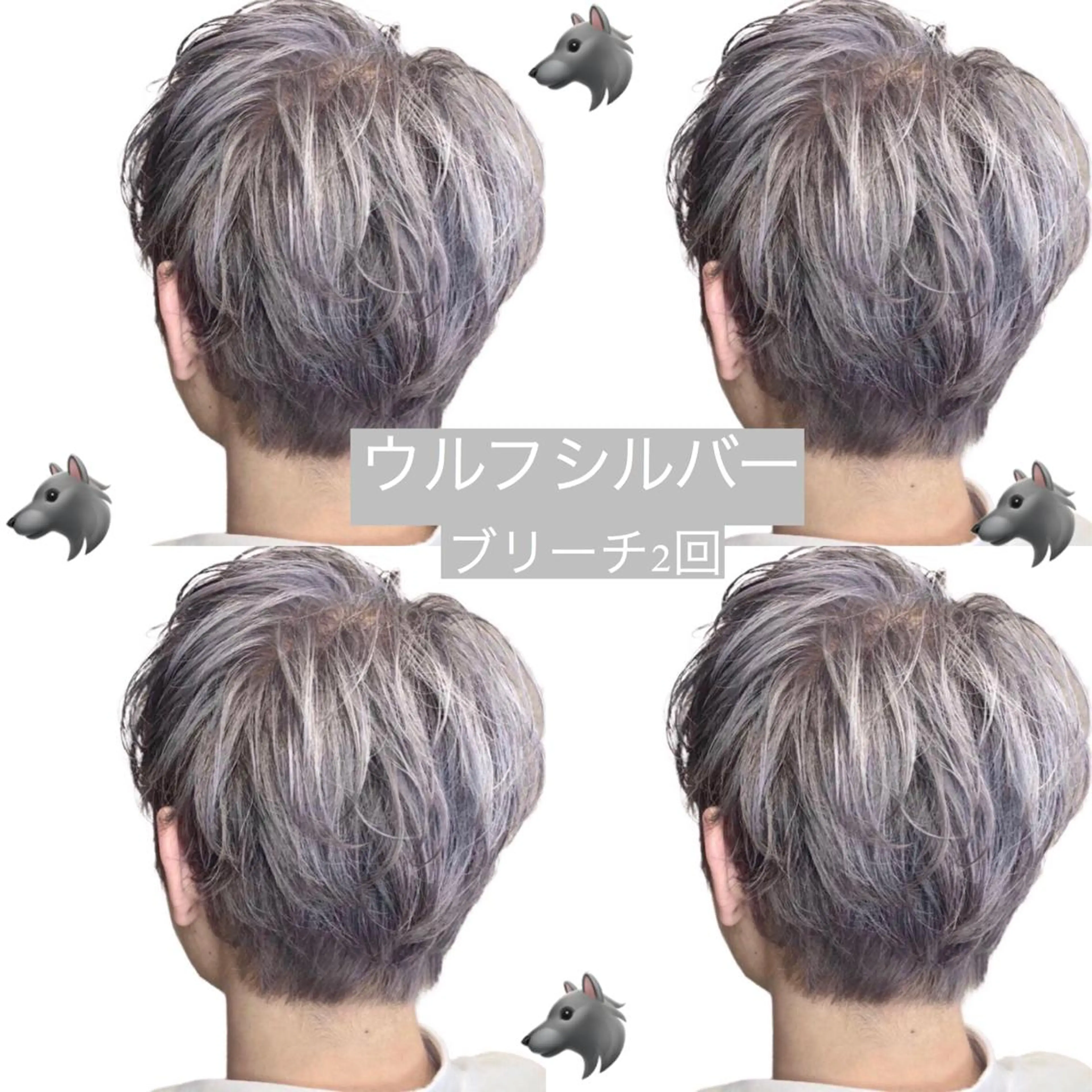 カラー メンズ メンズブリーチ メンズウルフカット ブリーチ ケアブリーチ シルバー ケアブリーチ /髪質 改善/古橋圭史郎のヘアスタイル