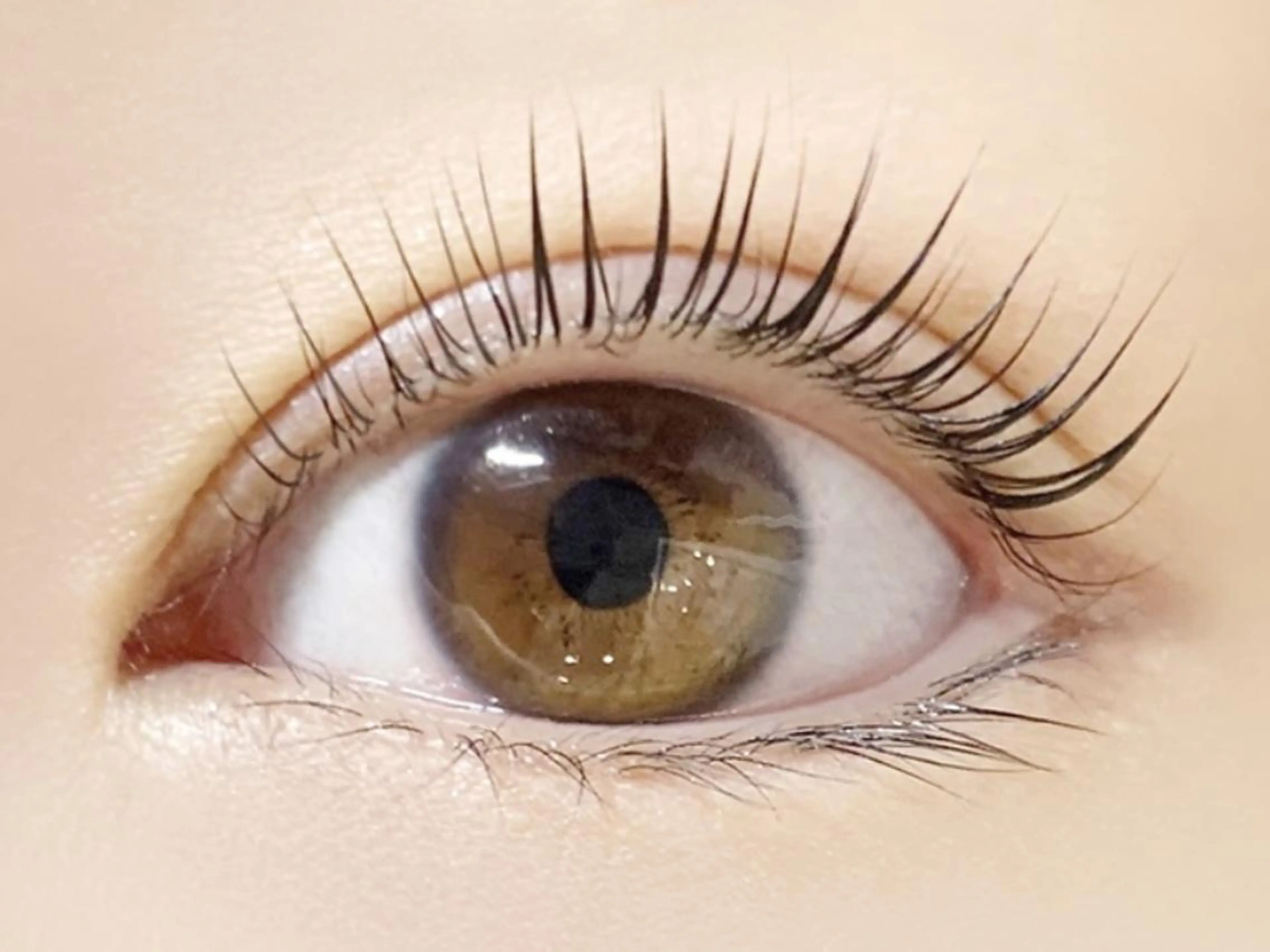 ✨🌸🌷平日限定パリジェンヌラッシュリフト上✨🍬ビタミンアイパック、の写真