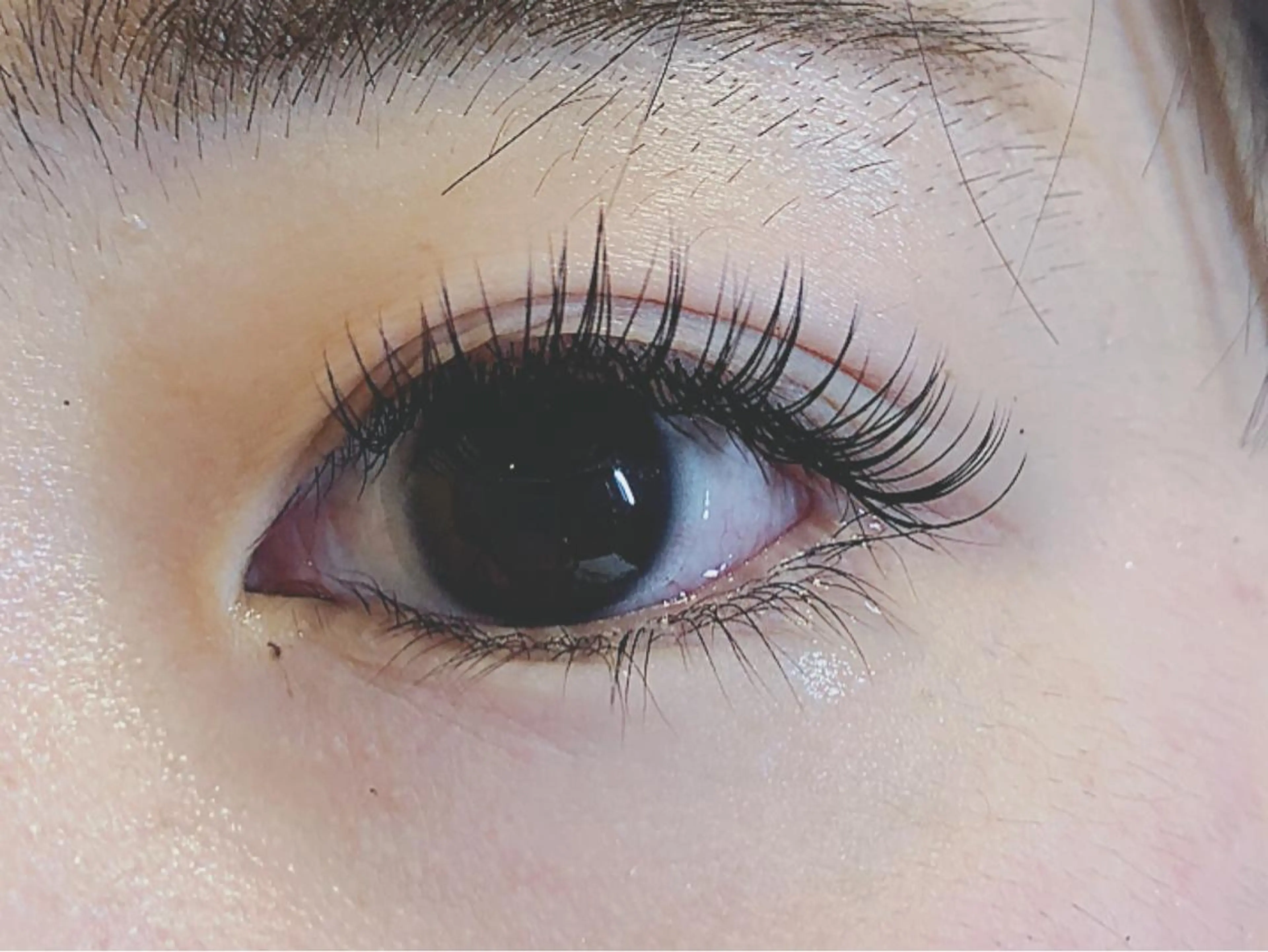 マツエク・マツパ Cカール デイジーラッシュ 大阪駅前第3ビルのマツエク・マツパデザイン