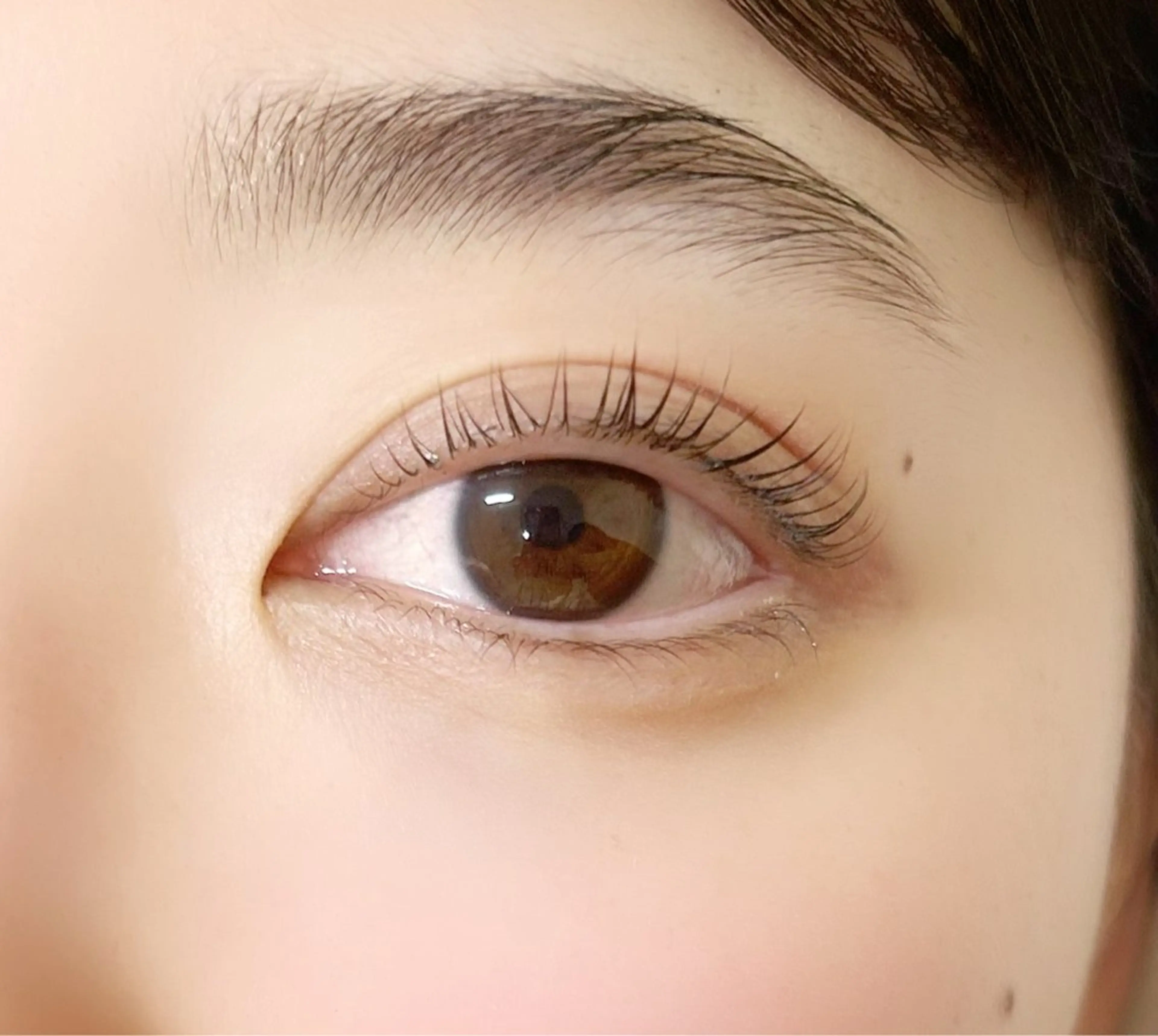 マツエク・マツパ マツパ SherryEye REINAのマツエク・マツパデザイン