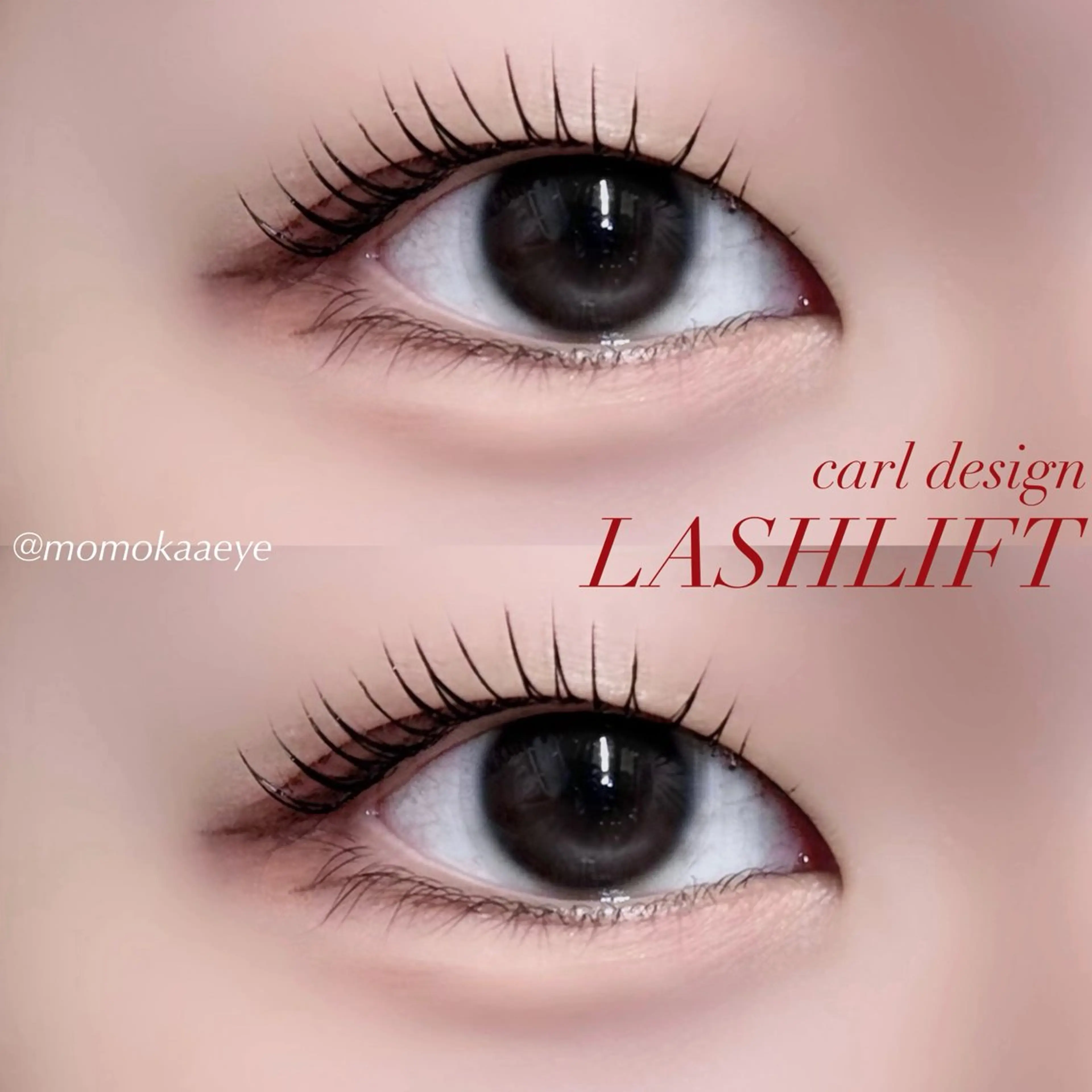 🆙12/26限定💨ラッシュリフト/パリジェンヌ&アイブロウWAX🎀間引き、メイクなし※再来✖️の写真