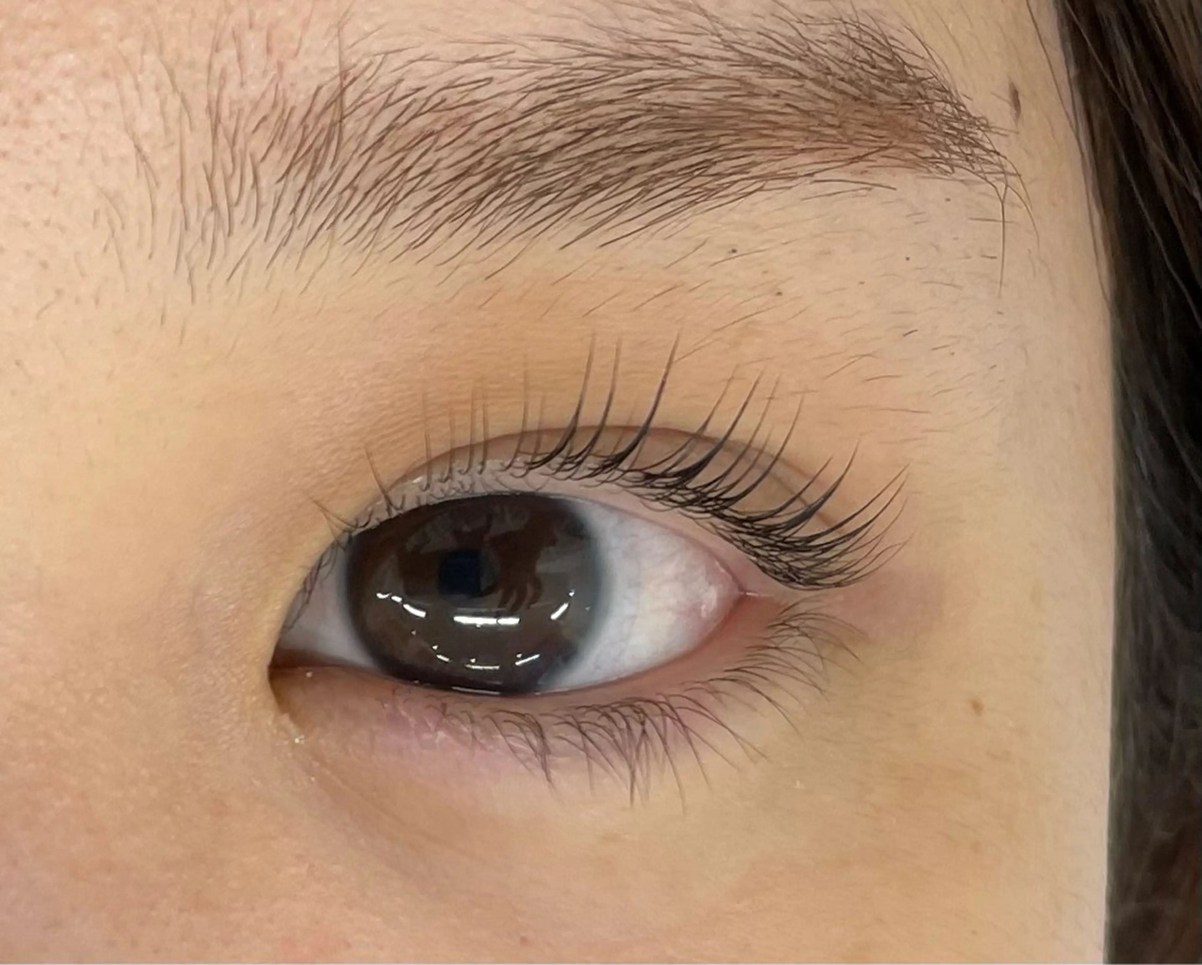 マツエク・マツパ マツパ マリーテレジア 🪻YUKAのマツエク・マツパデザイン