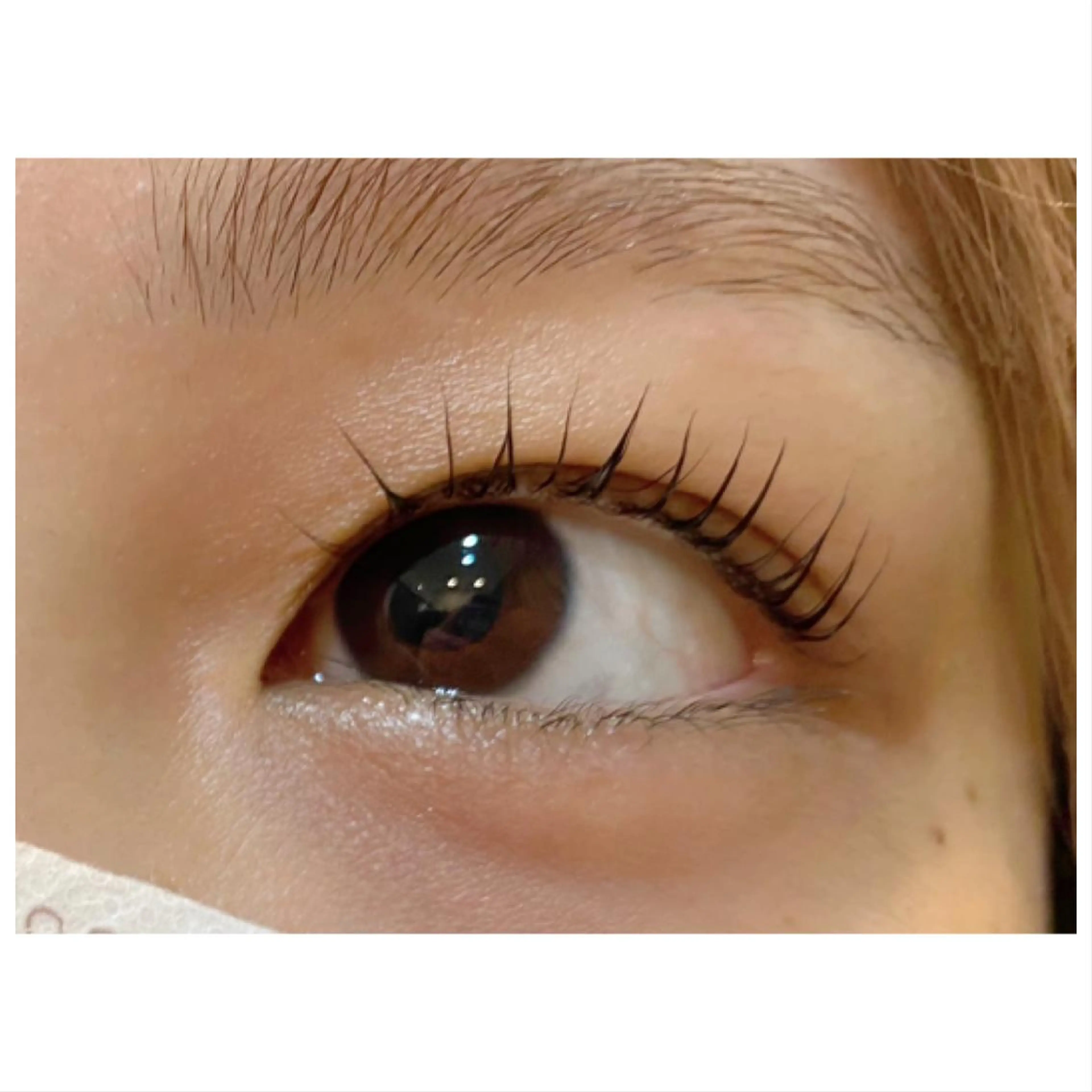 マツエク・マツパ マツパ Eyelash&Eyebrow La Tiara所属・La Tiara 積田の眉毛・アイブロウイメージ