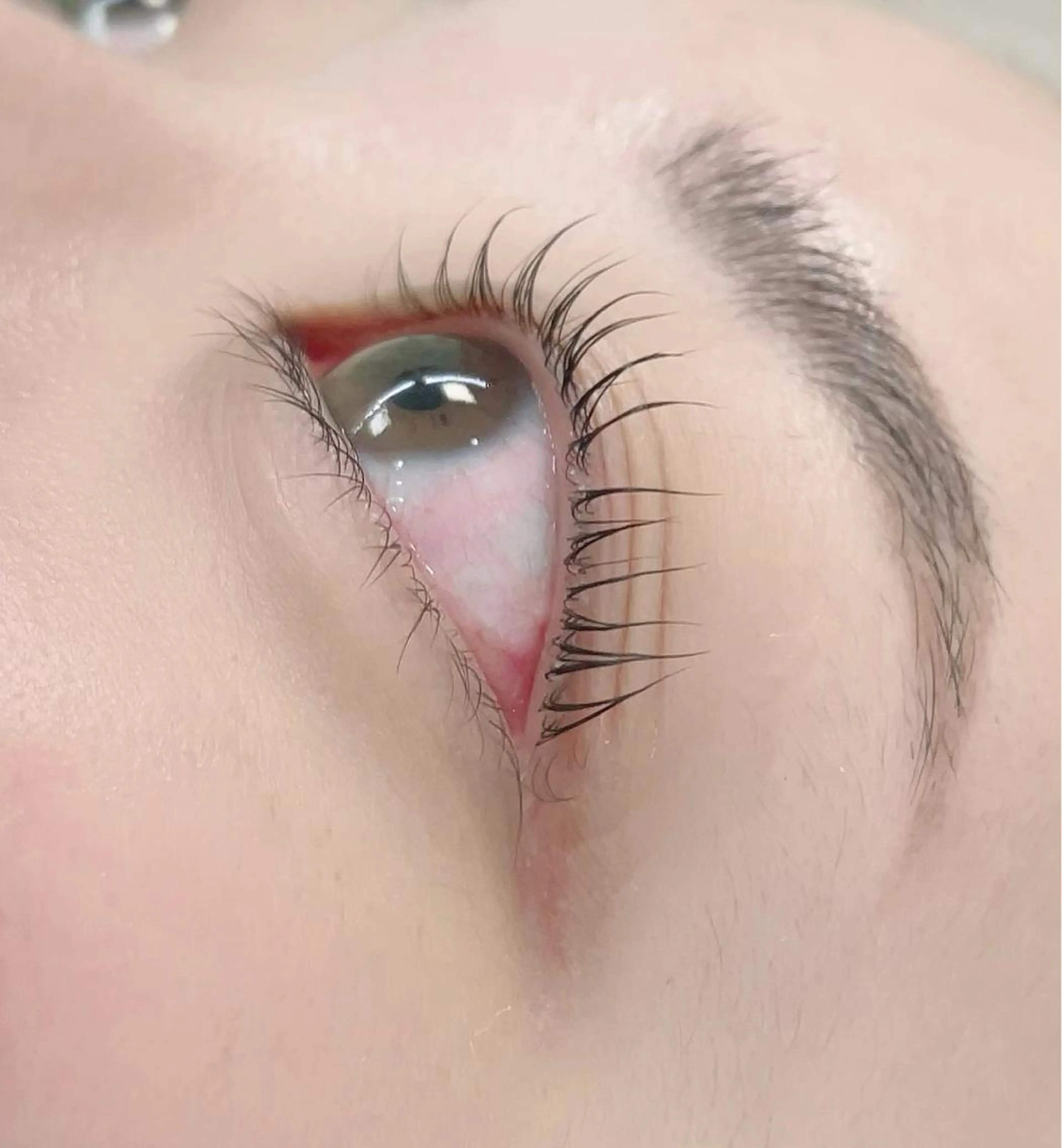 まつ毛パーマの写真