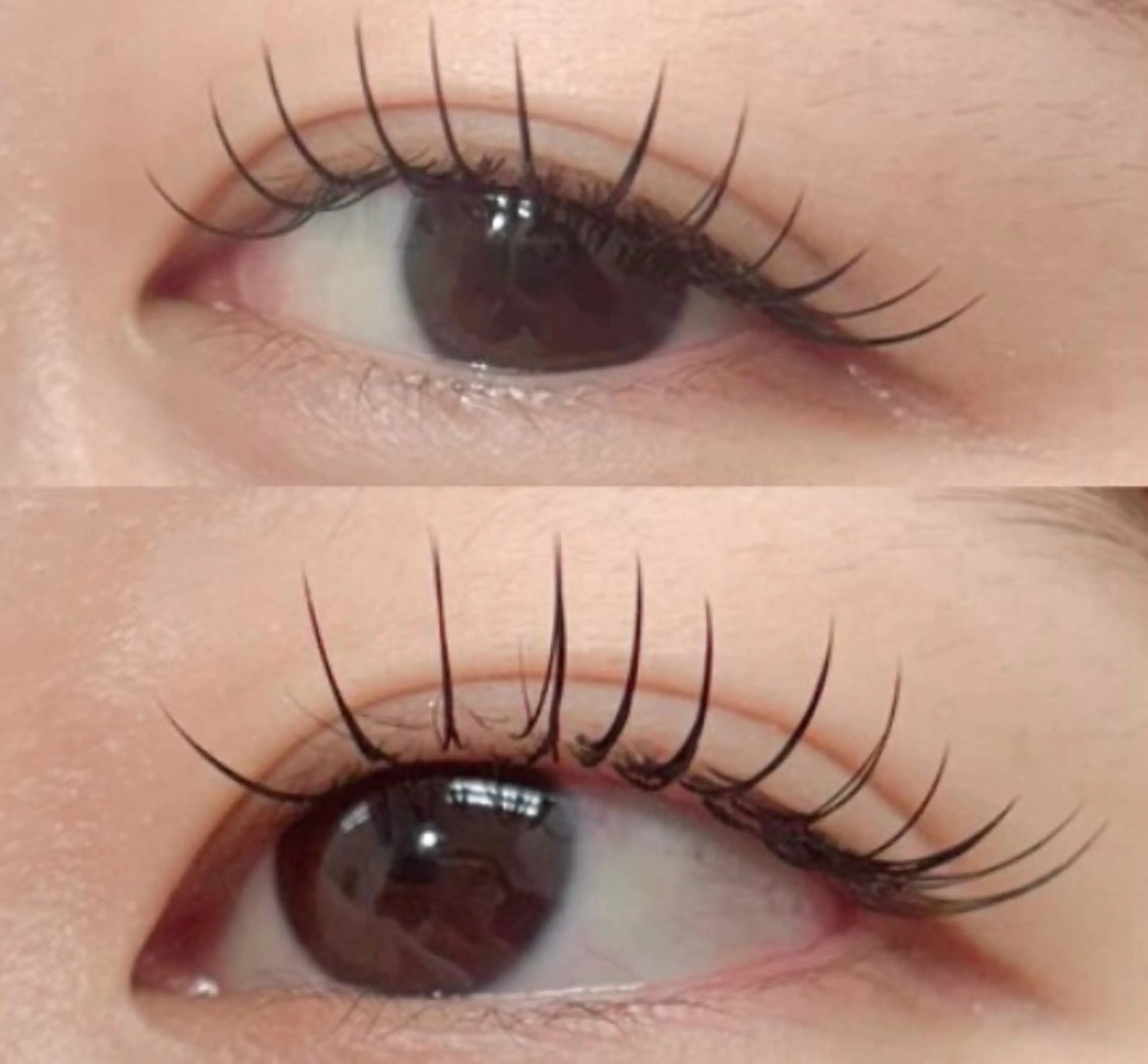 マツエク・マツパ プラスアイ吉祥寺所属・無料マツエクモデル 🎀ASUKAのマツエク・マツパデザイン