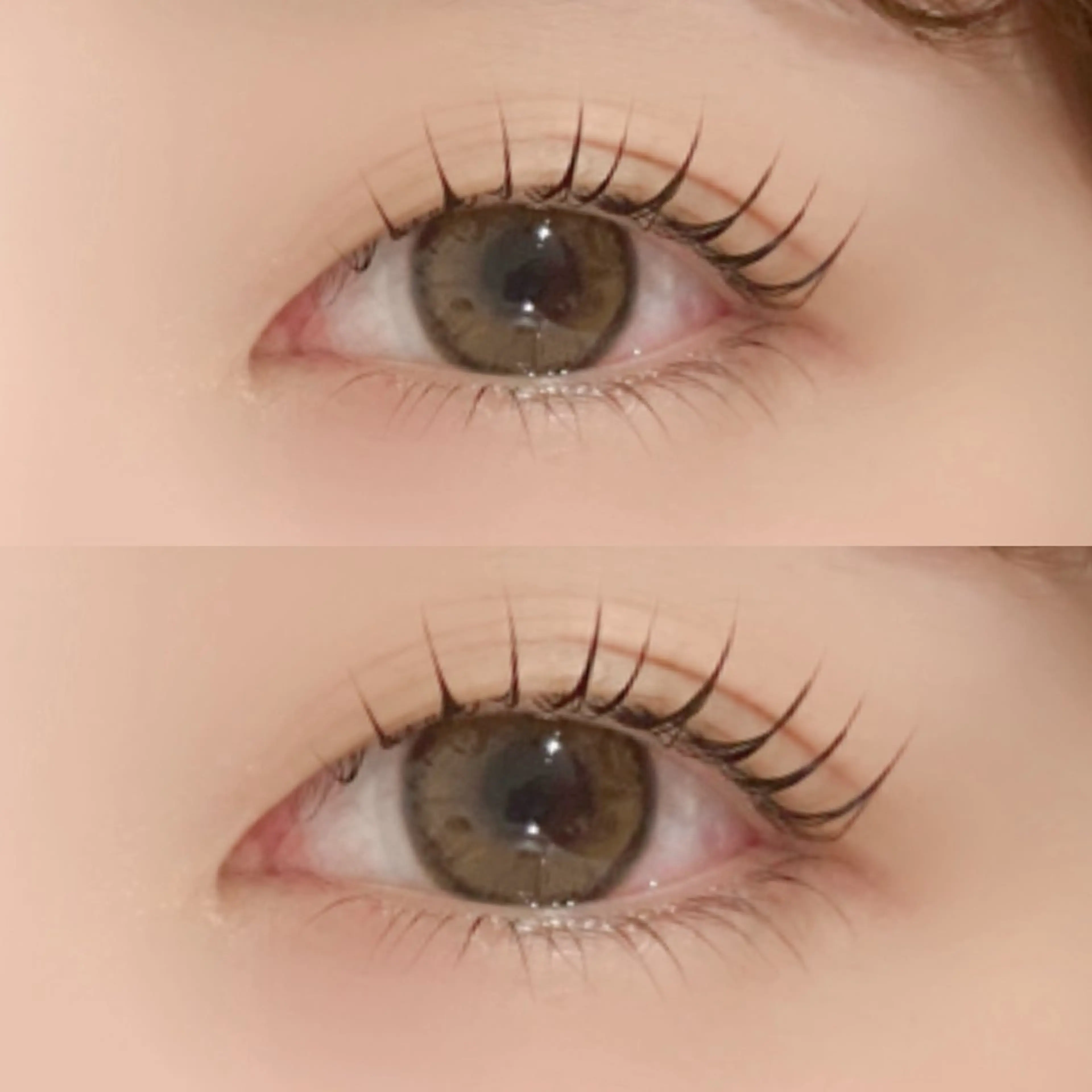 12月22日限定！🌹【上下パーマ】🌹⚠️必ず注意事項をご確認くださいの写真