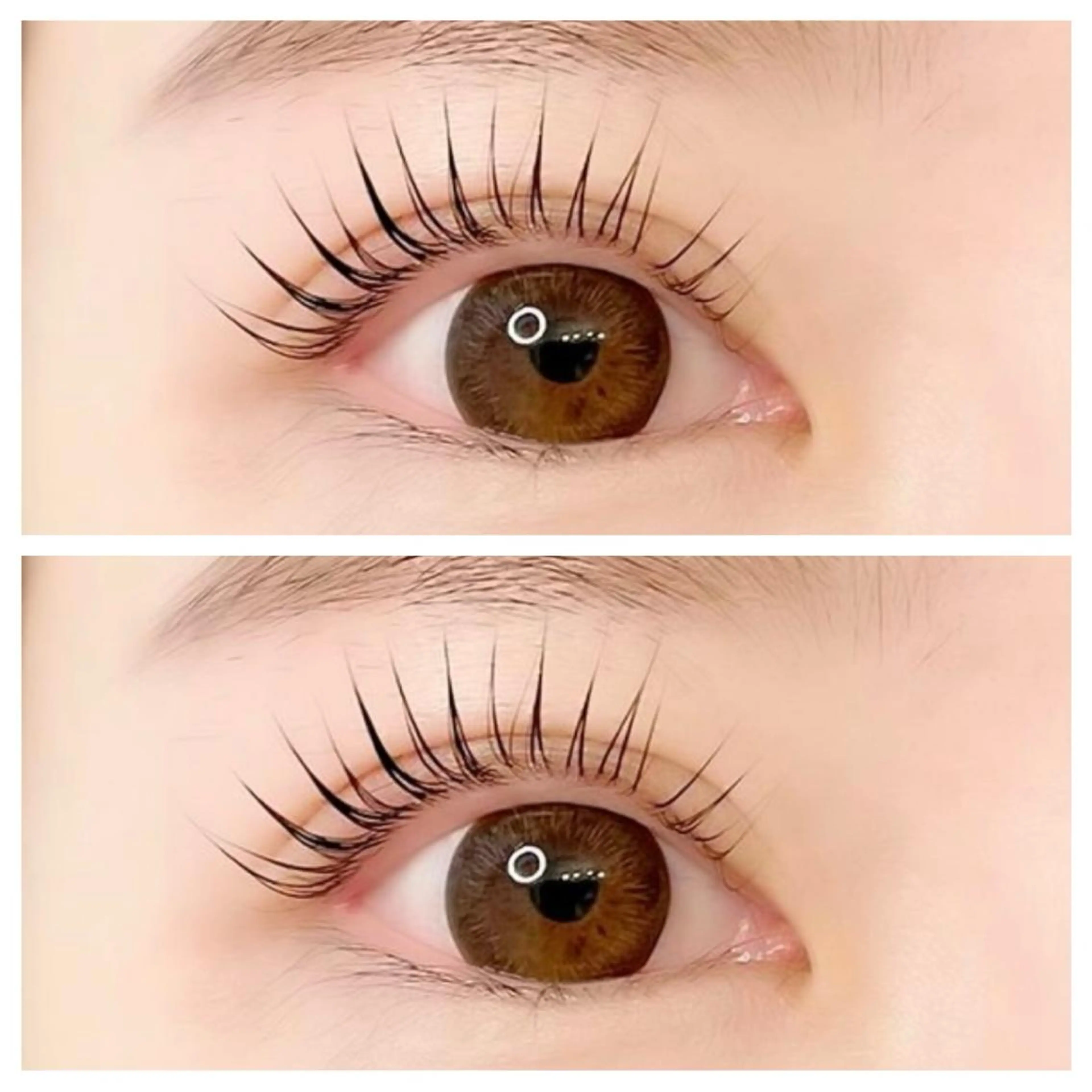 マツエク・マツパ まつげのめぐみ所属・🌹nawa.c 🦋のマツエク・マツパデザイン