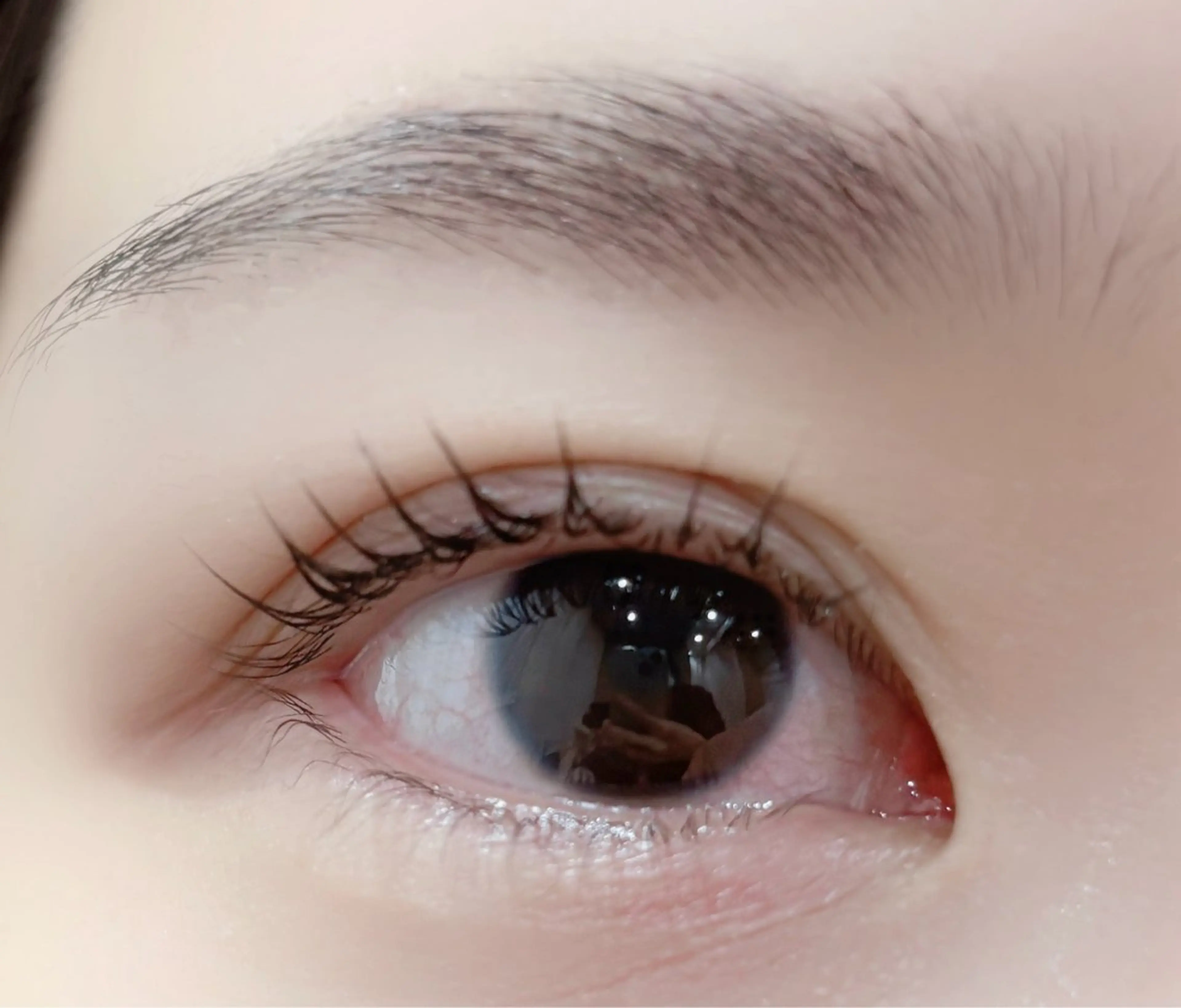 マツエク・マツパ パリジェンヌラッシュリフト Embellir所属・Embellir NANAのマツエク・マツパデザイン