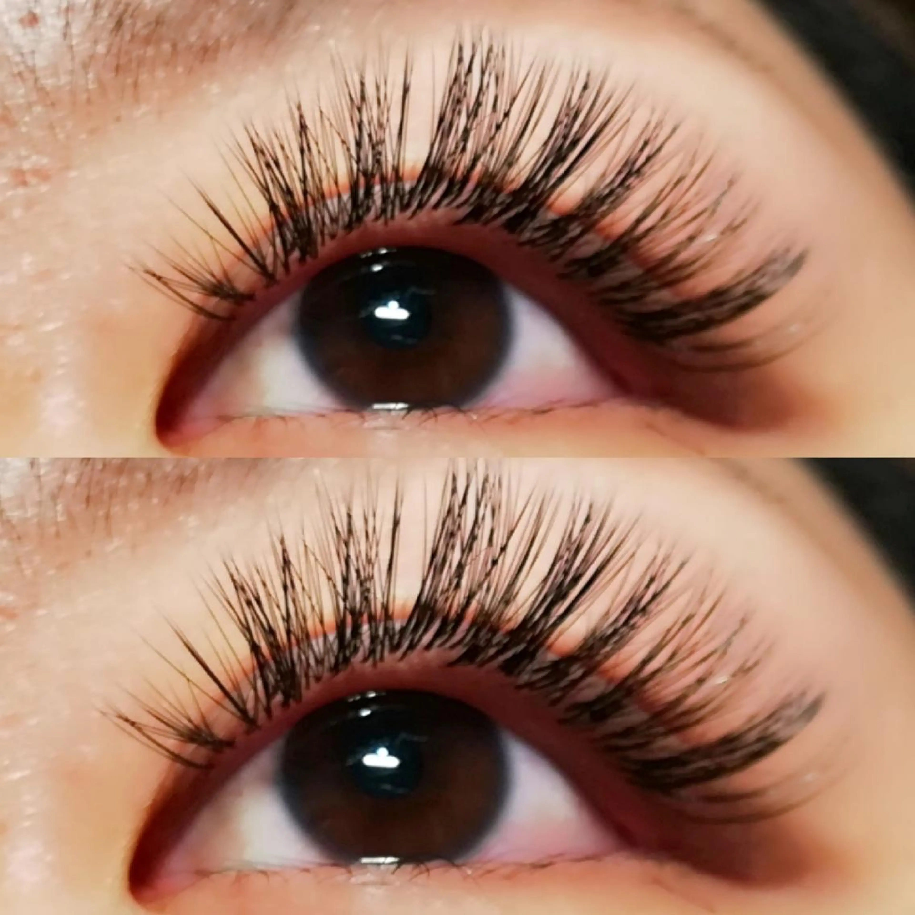 マツエク・マツパ ボリュームラッシュ Plume 逢坂のマツエク・マツパデザイン