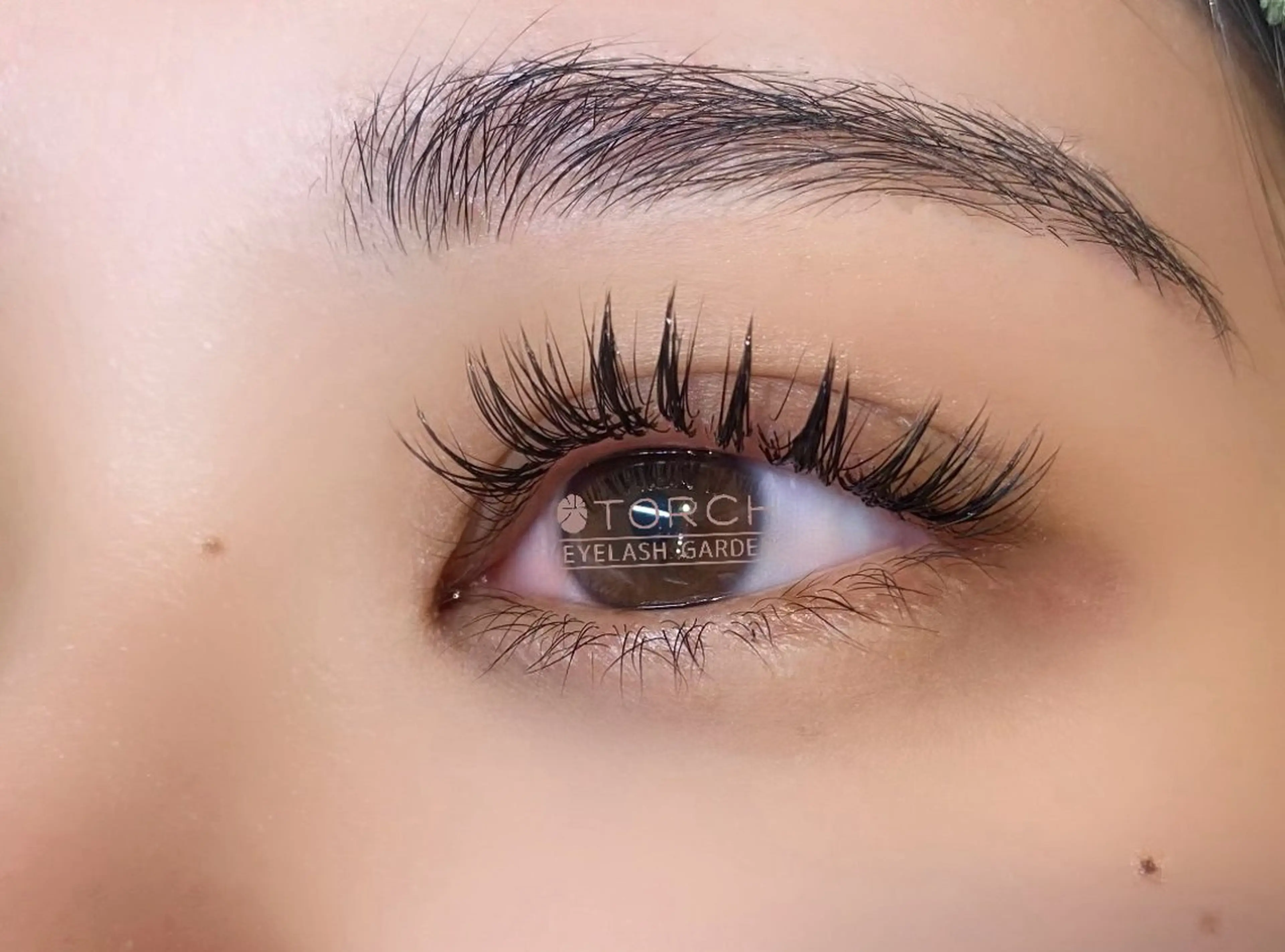 ダブルフラット80束（160本)✨Open特別価格✨の写真