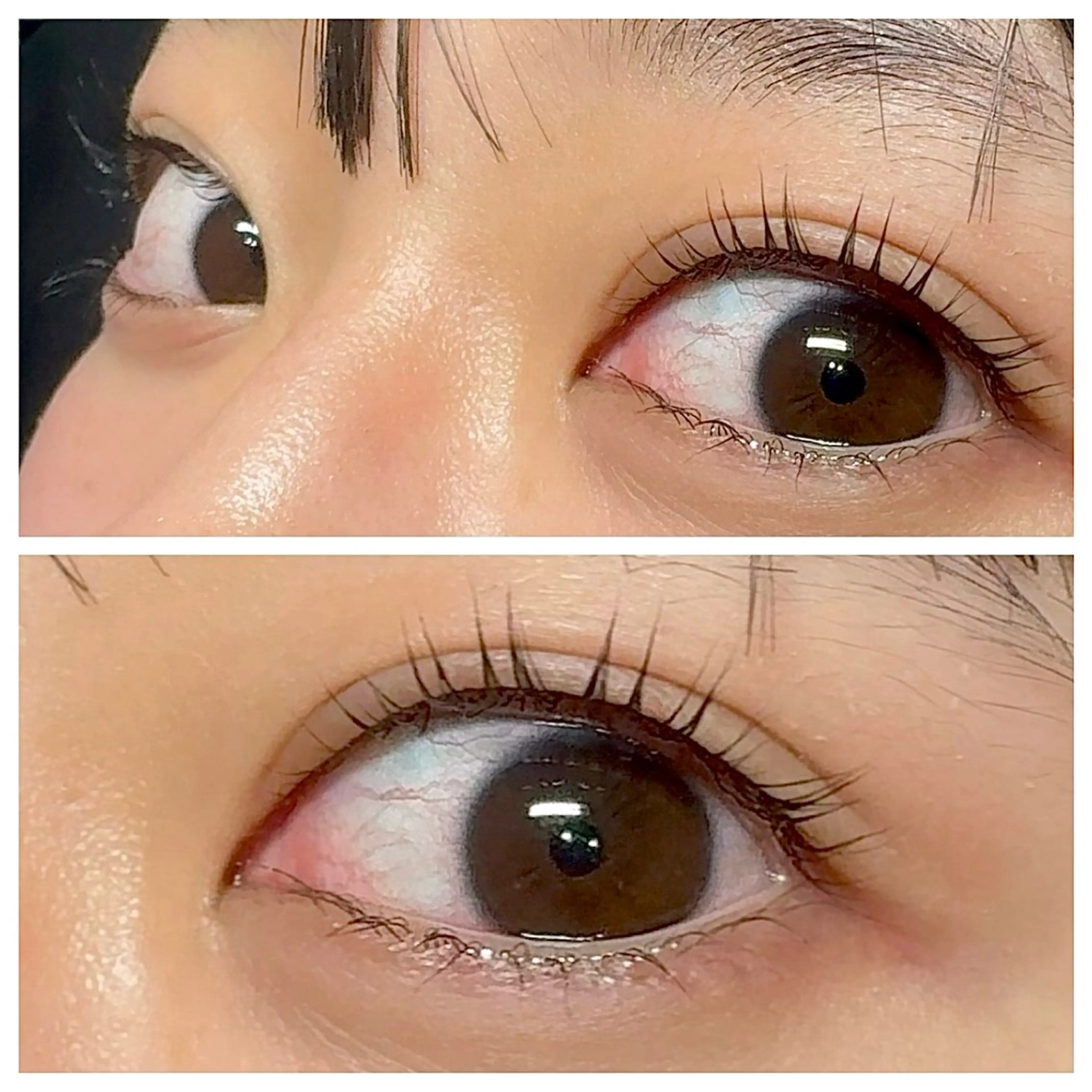 マツエク・マツパ パリジェンヌラッシュリフト まつげパーマ Reline🌼まつ パ専門AN（アン）のマツエク・マツパデザイン