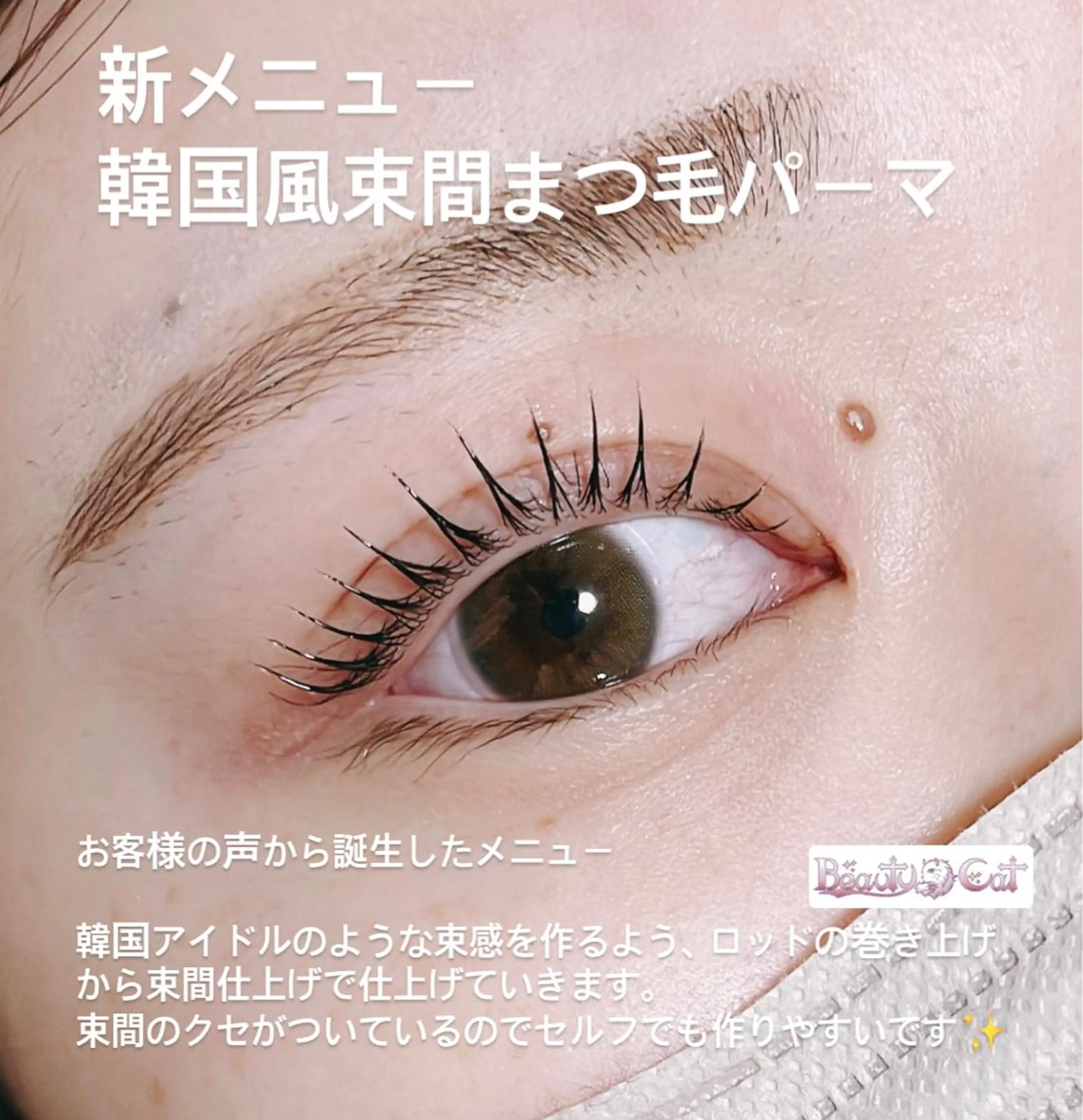 マツエク・マツパ 束感まつ毛 韓国風マツエク マツパ Beautycat Chihiroのマツエク・マツパデザイン