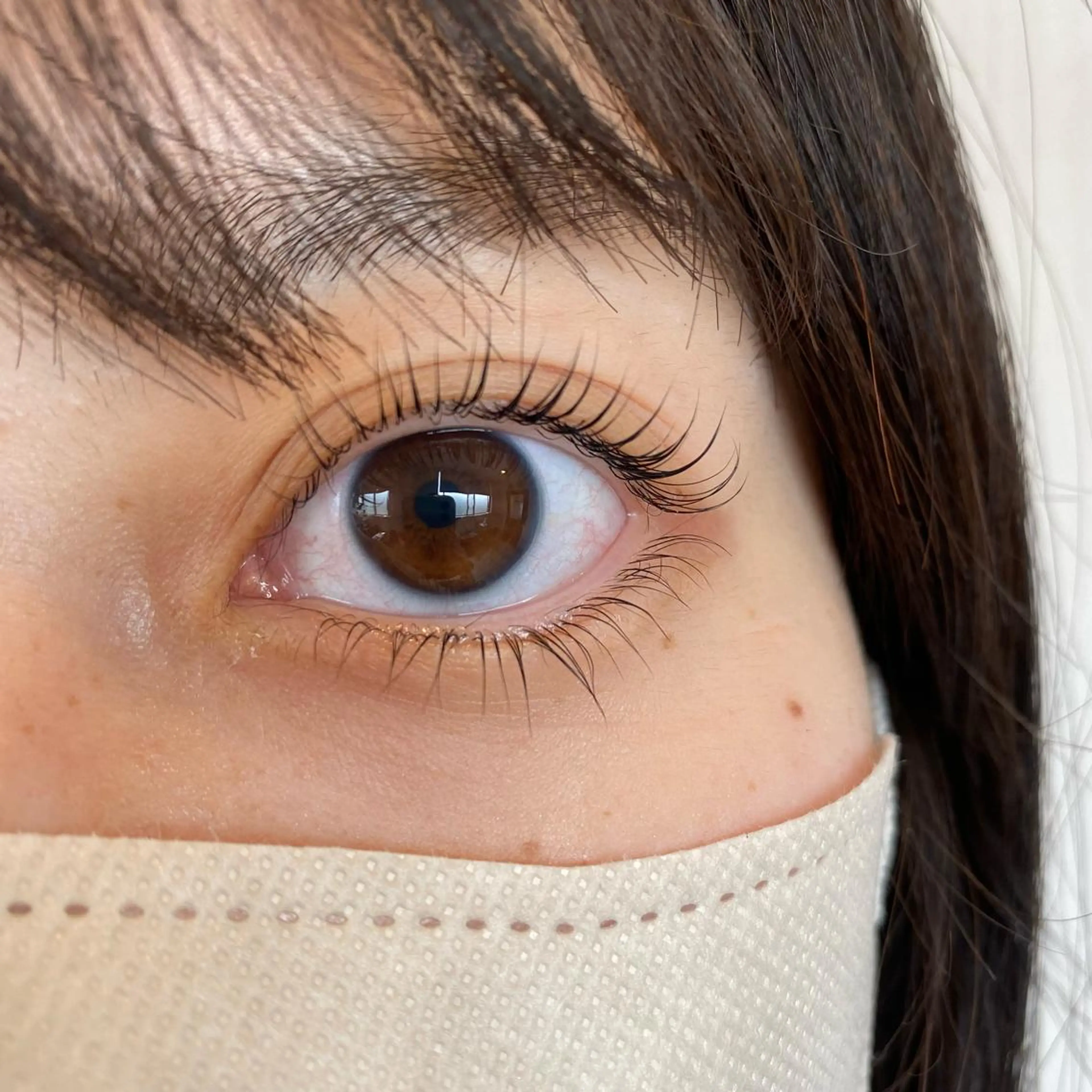 マツエク・マツパ カルフールリル　草加所属・草加/ miyu 🫧の眉毛・アイブロウイメージ