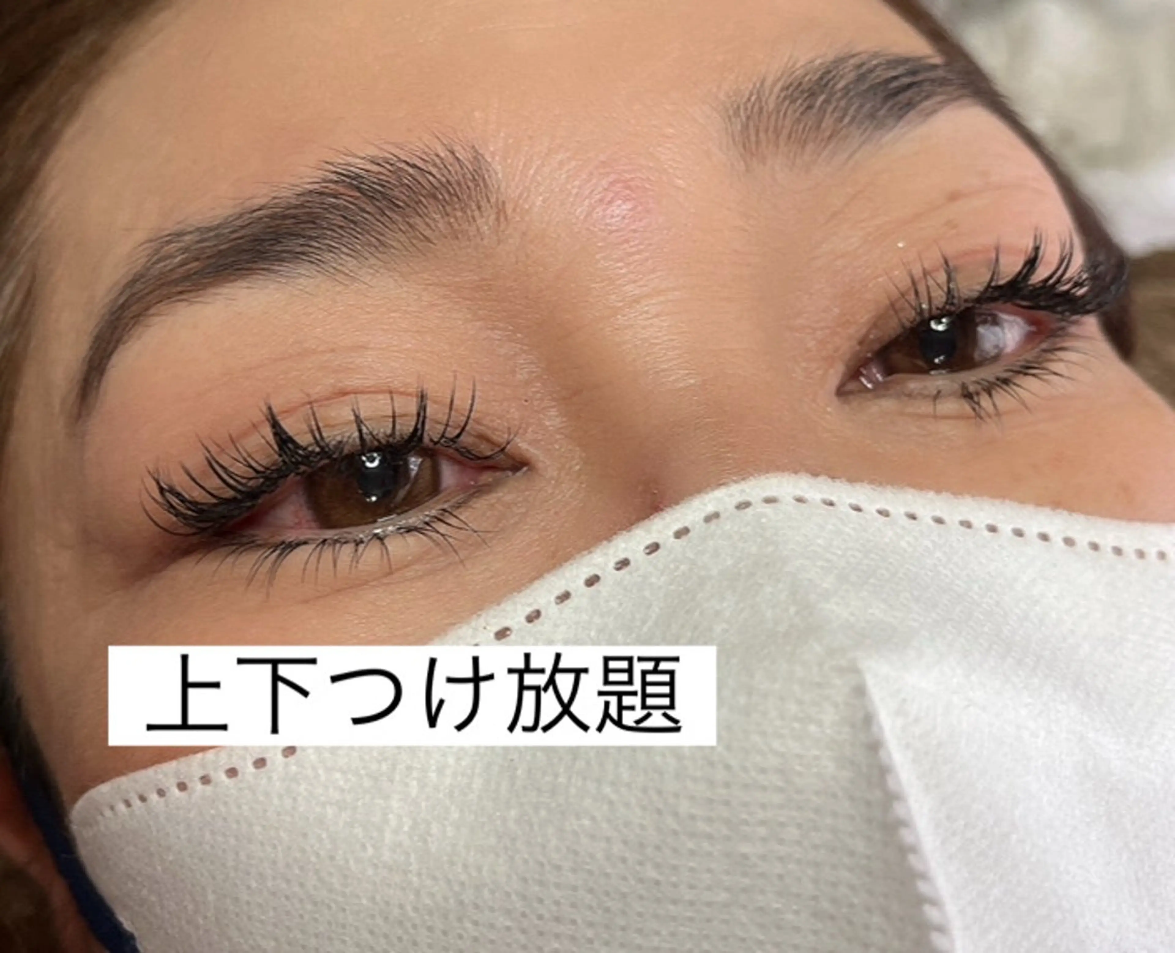 初回限定マツエク上下つけ放題　セーブルの写真