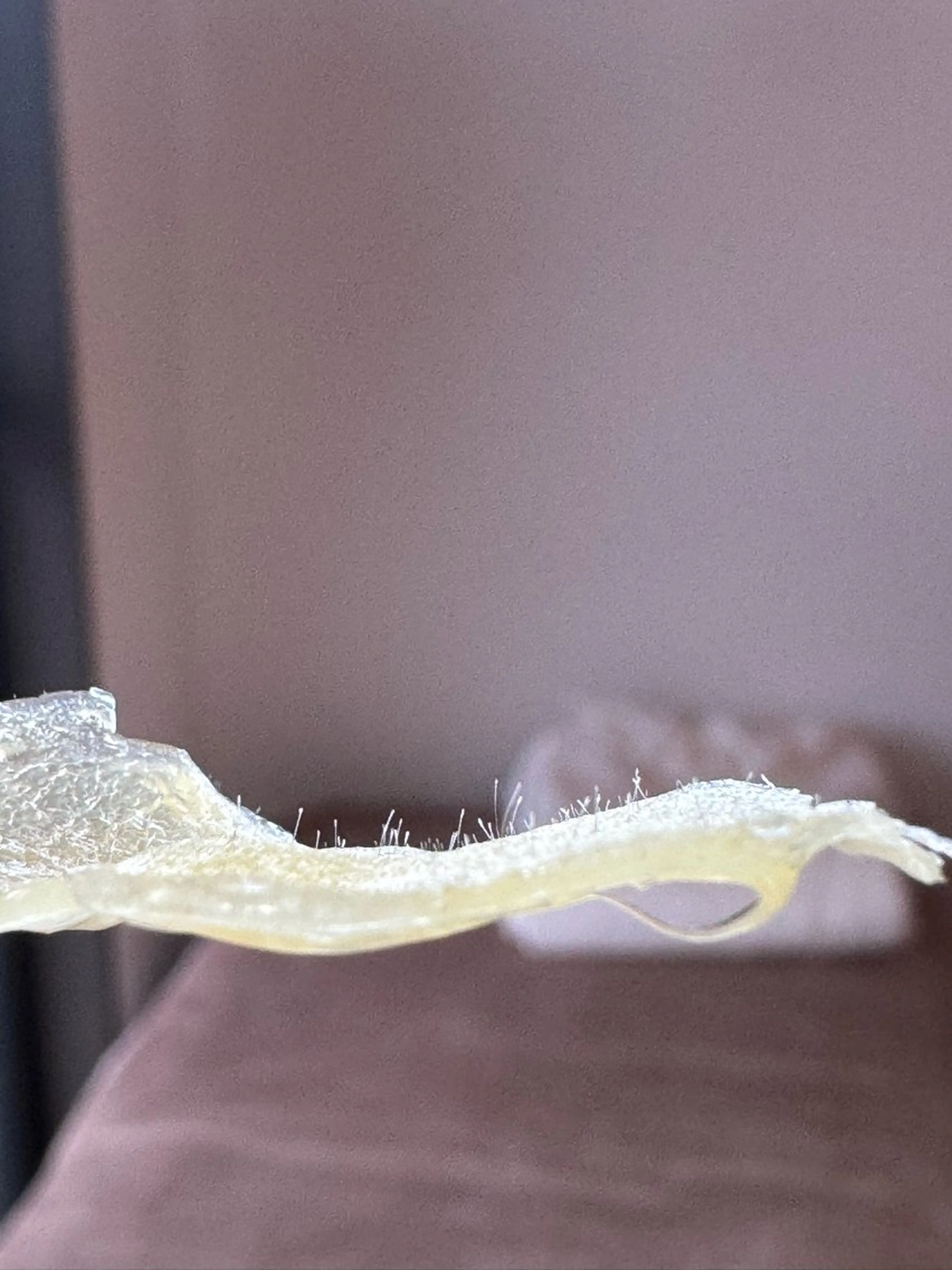 W MISATOのエステ・リラクイメージ