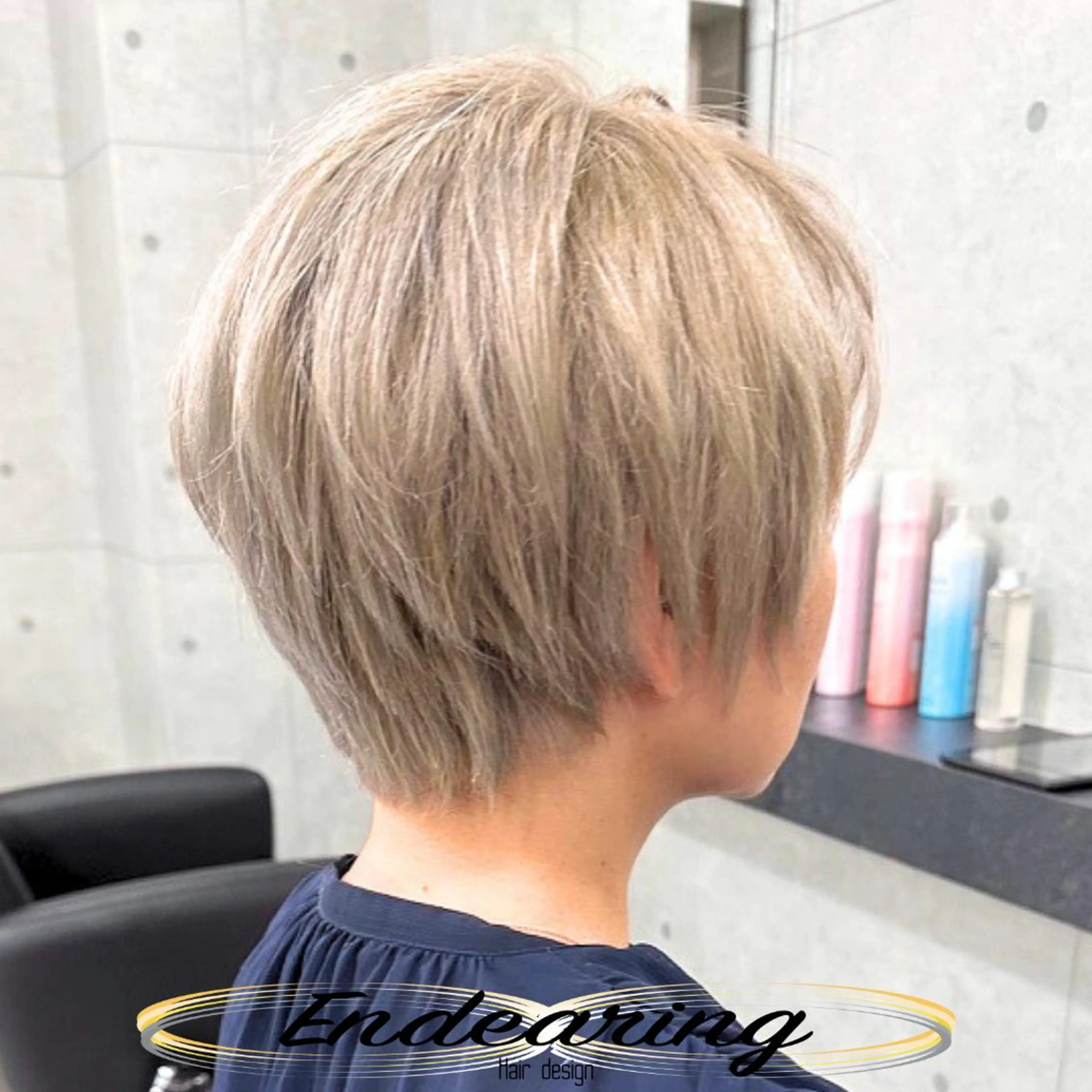 カラー ブリーチ 透明感カラー ハイトーンカラー シルバー ホワイトシルバー ヘアカラー Endearing 銀座/レイヤーカットのヘアスタイル