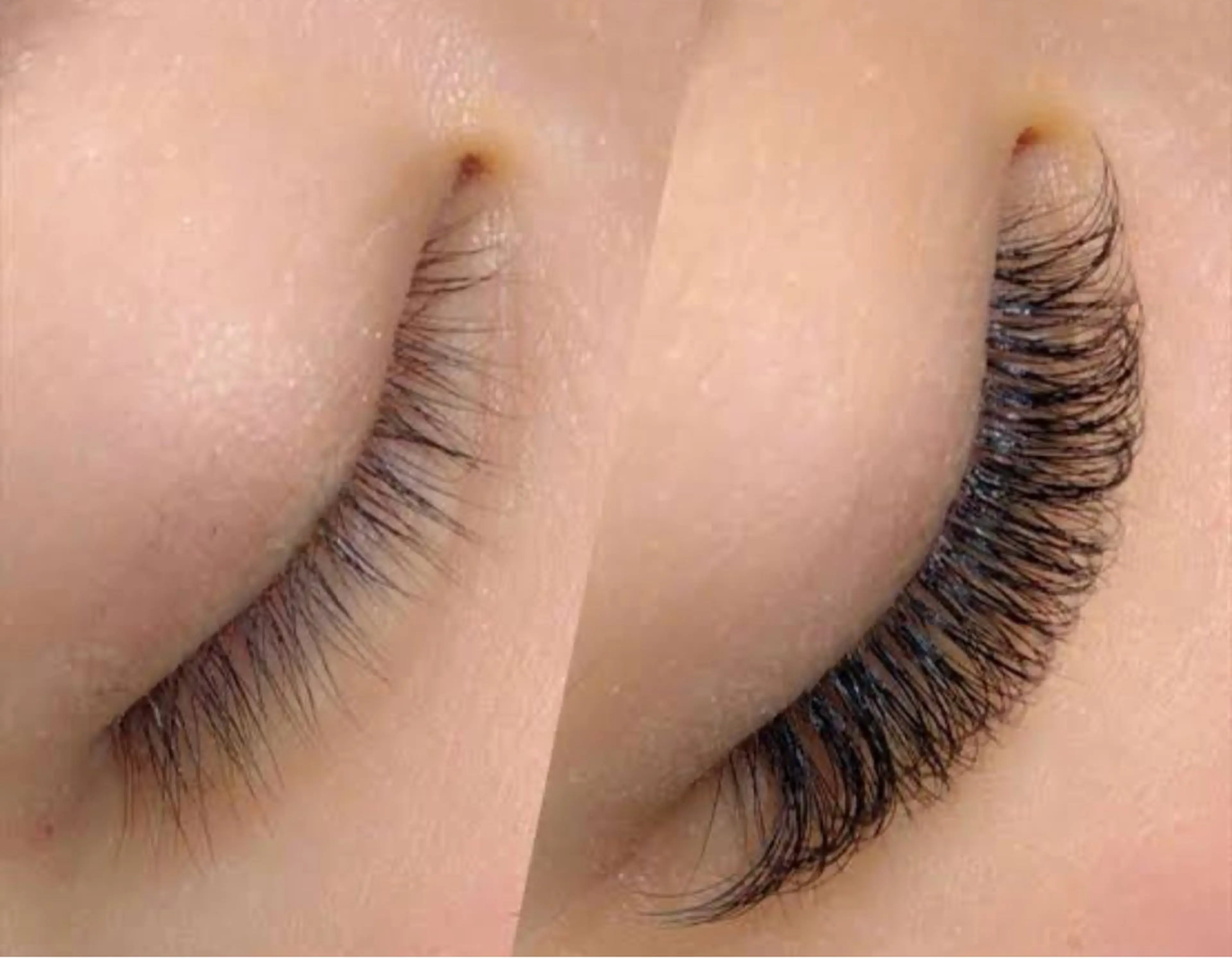 マツエク付放題（Y型、三葉草、四葉草）の写真