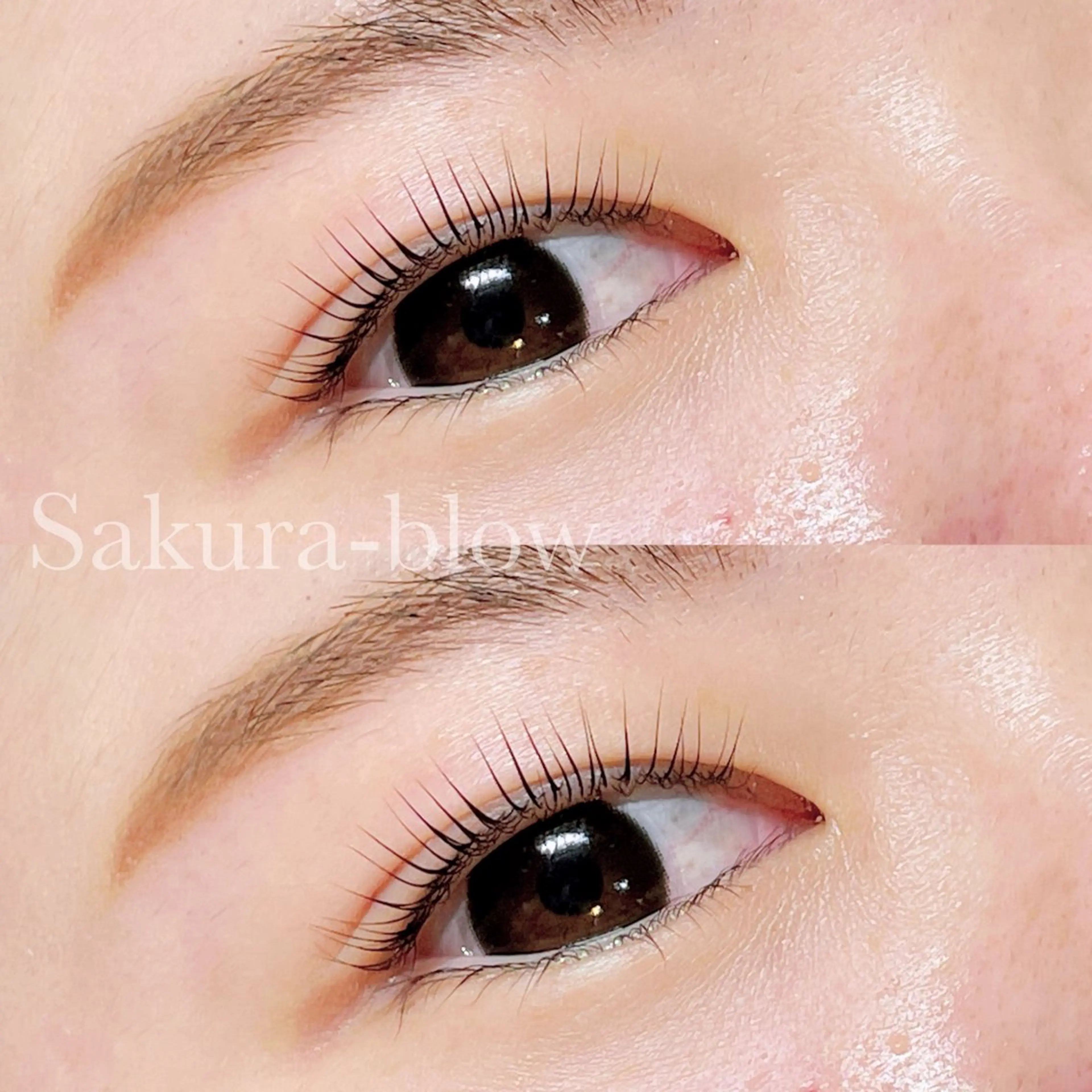 マツエク・マツパ パリジェンヌラッシュリフト Sakura-blow梅田店所属・Sakurablow 大槻のマツエク・マツパデザイン