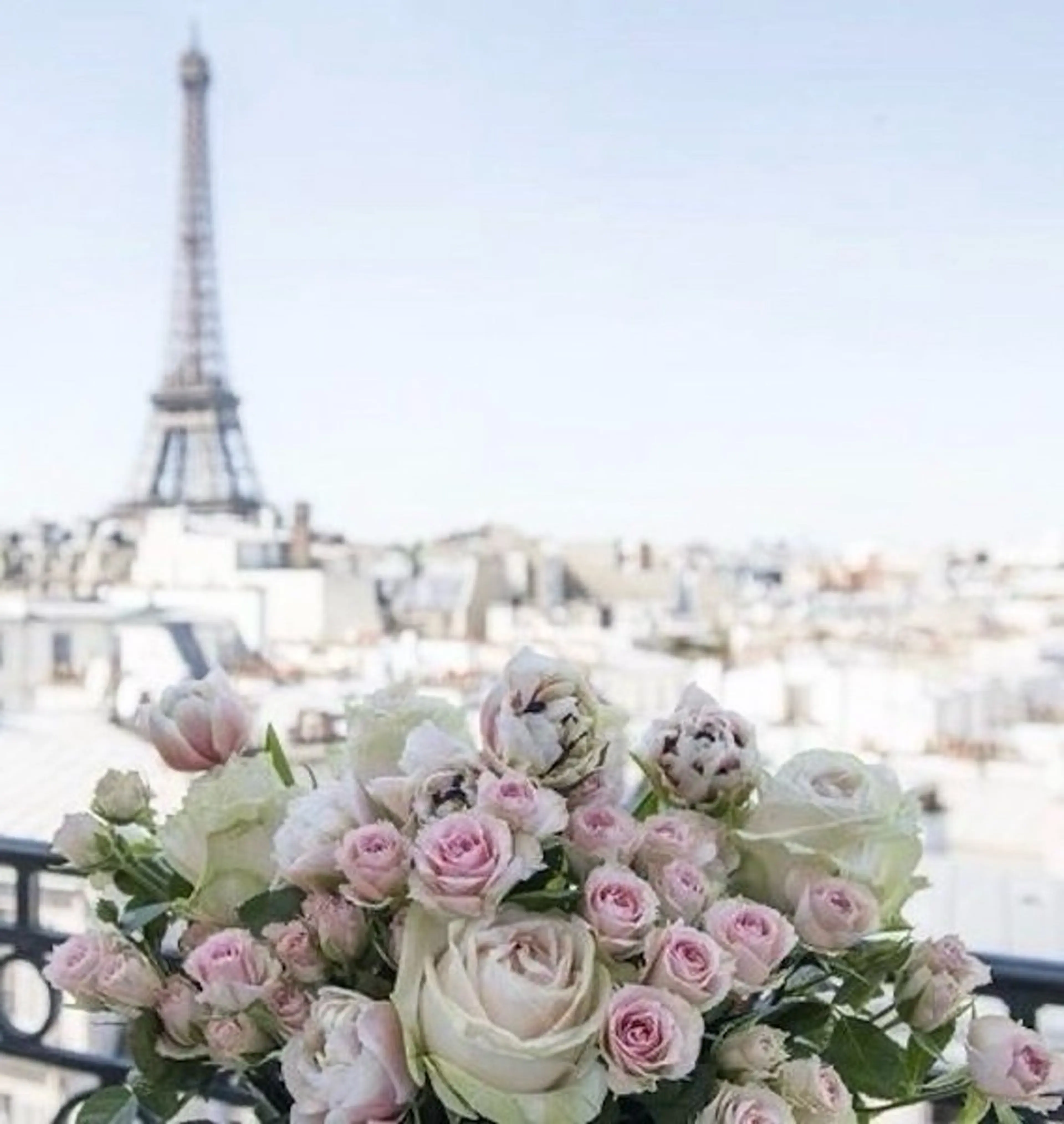 Honma .mの眉毛・アイブロウイメージ