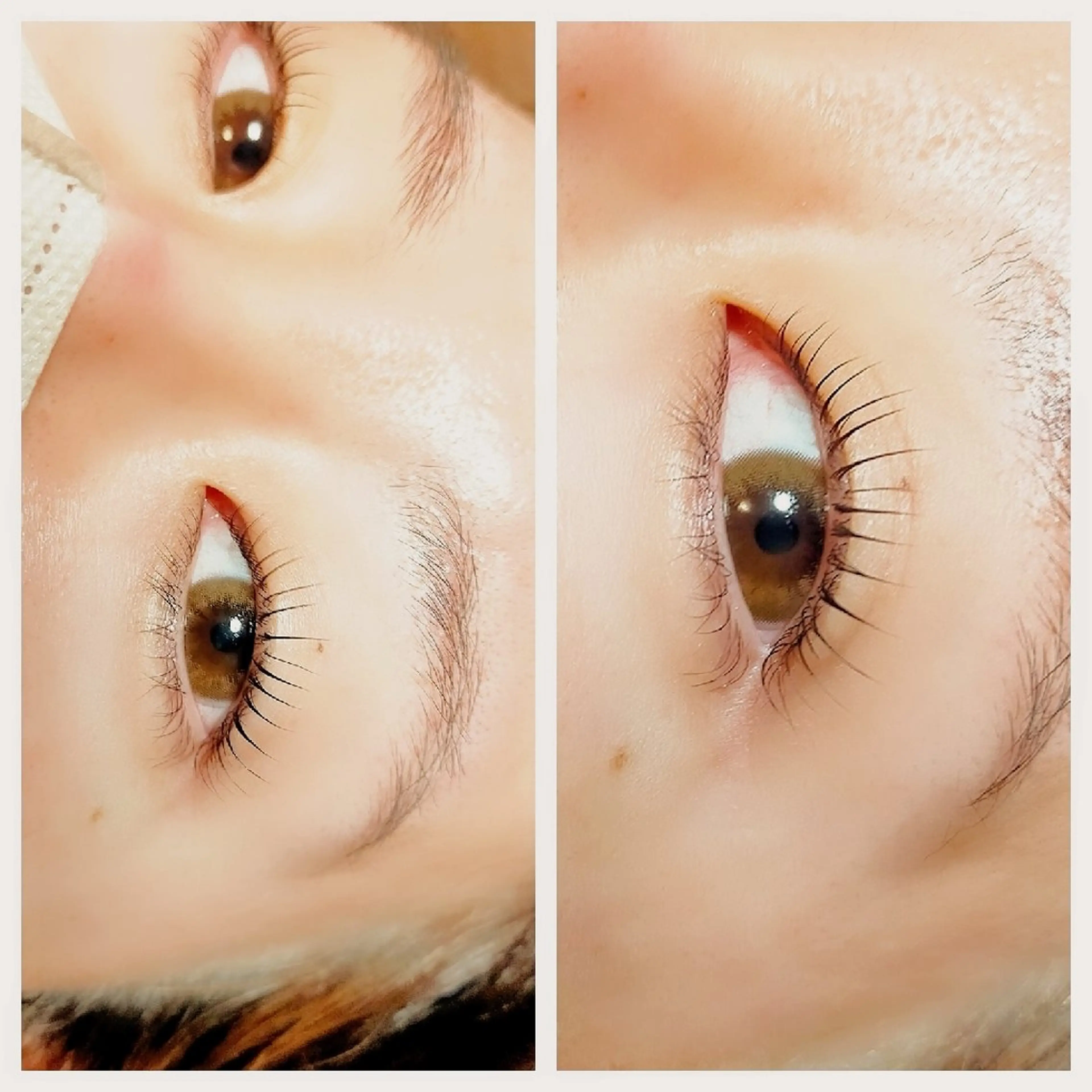 マツエク・マツパ マツパ 宜野湾Eyelash w/の眉毛・アイブロウイメージ