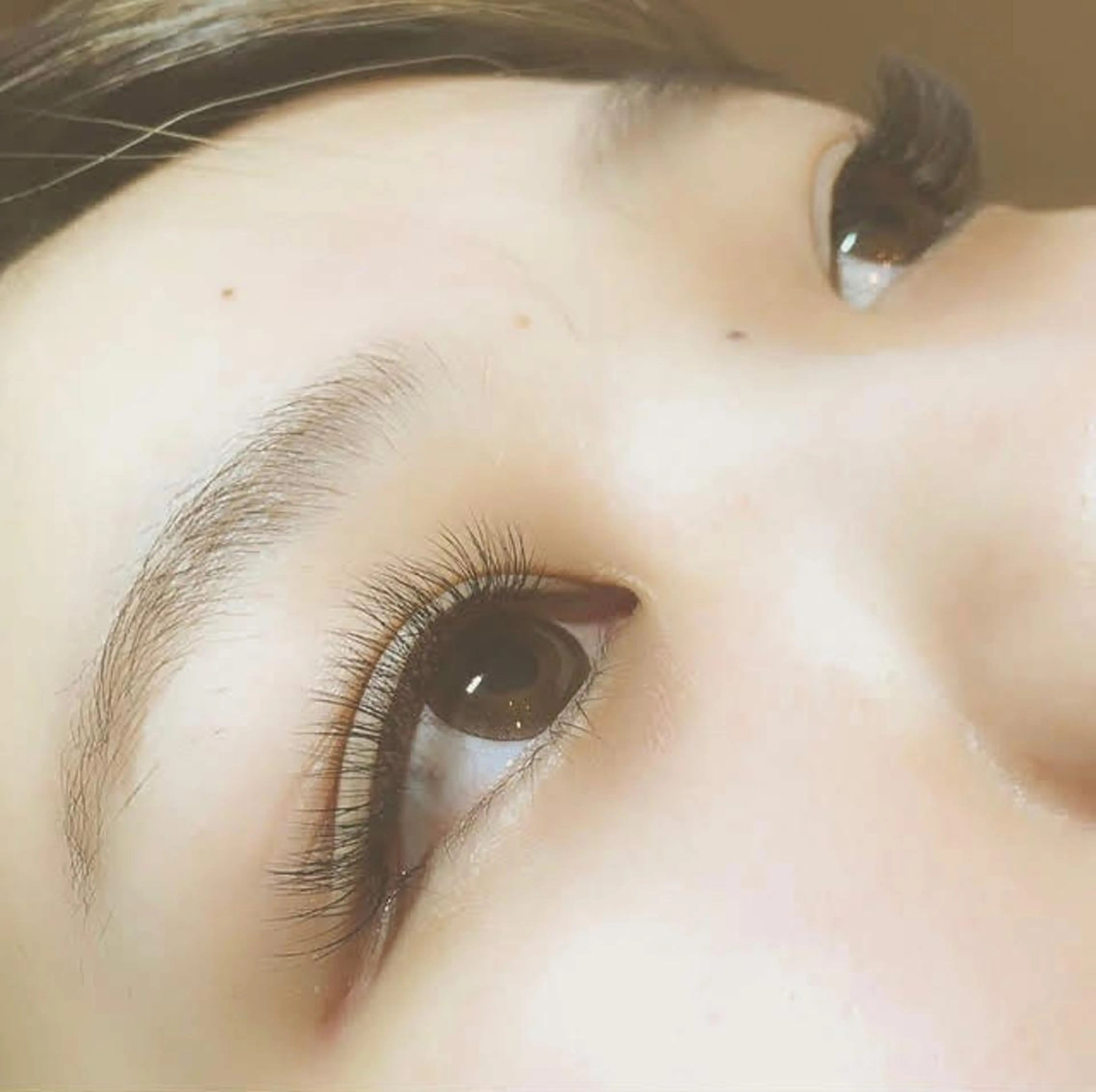 マツエク・マツパ hi.所属・hi. eyelashのマツエク・マツパデザイン